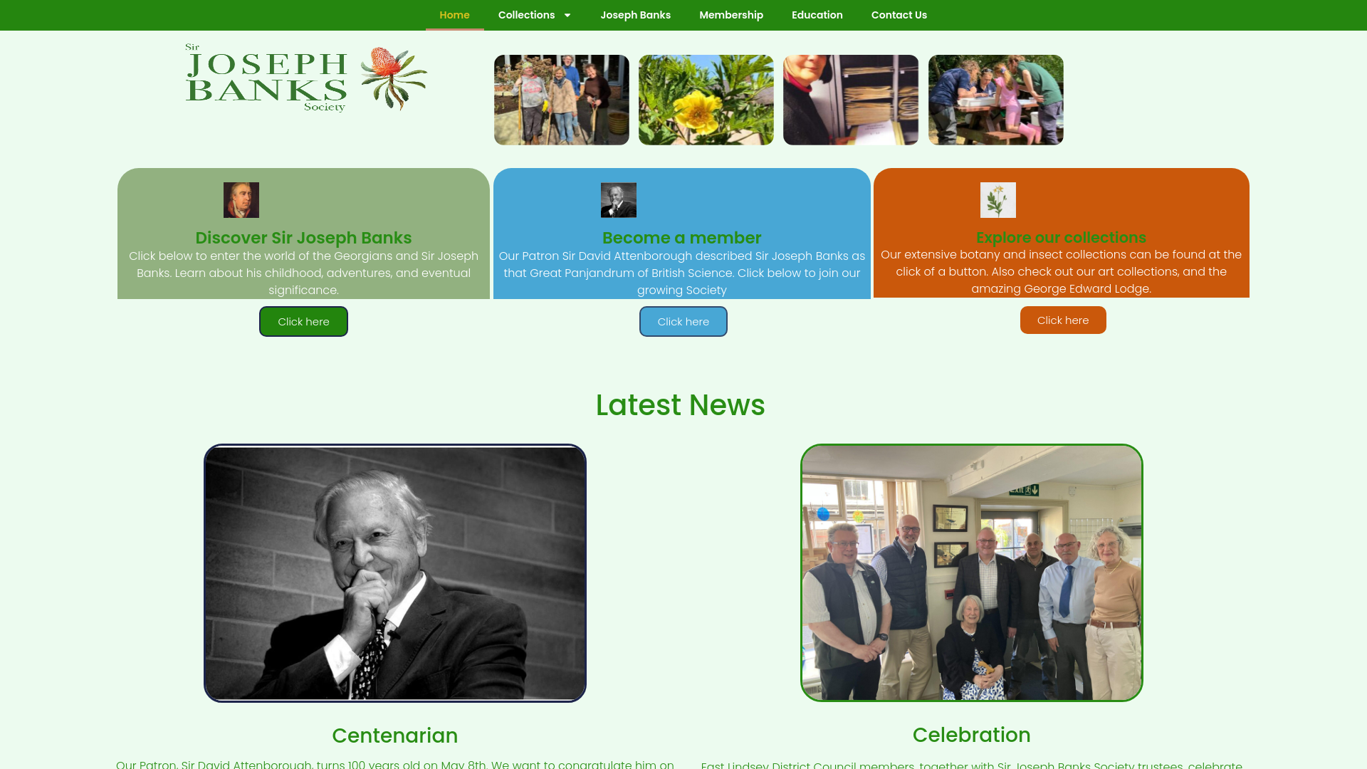 Website screenshot