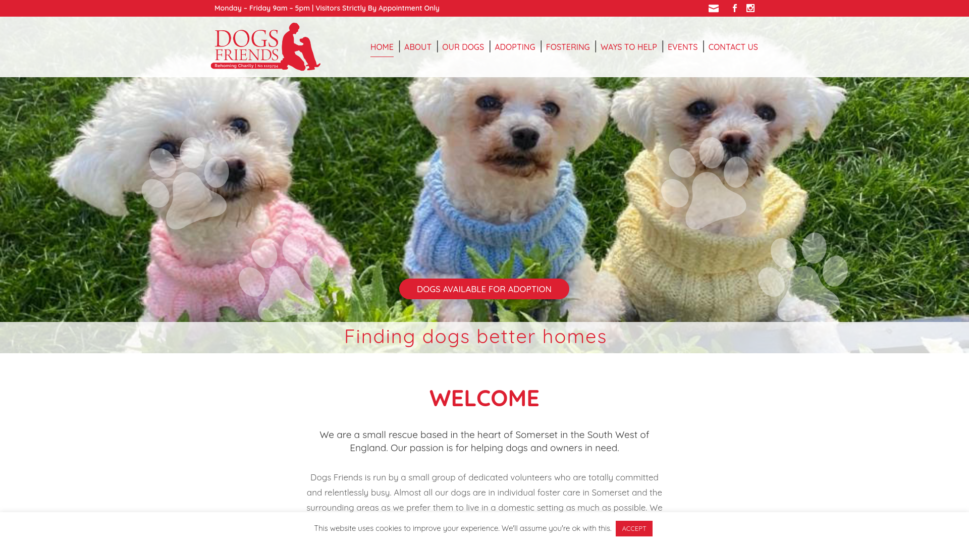 Website screenshot
