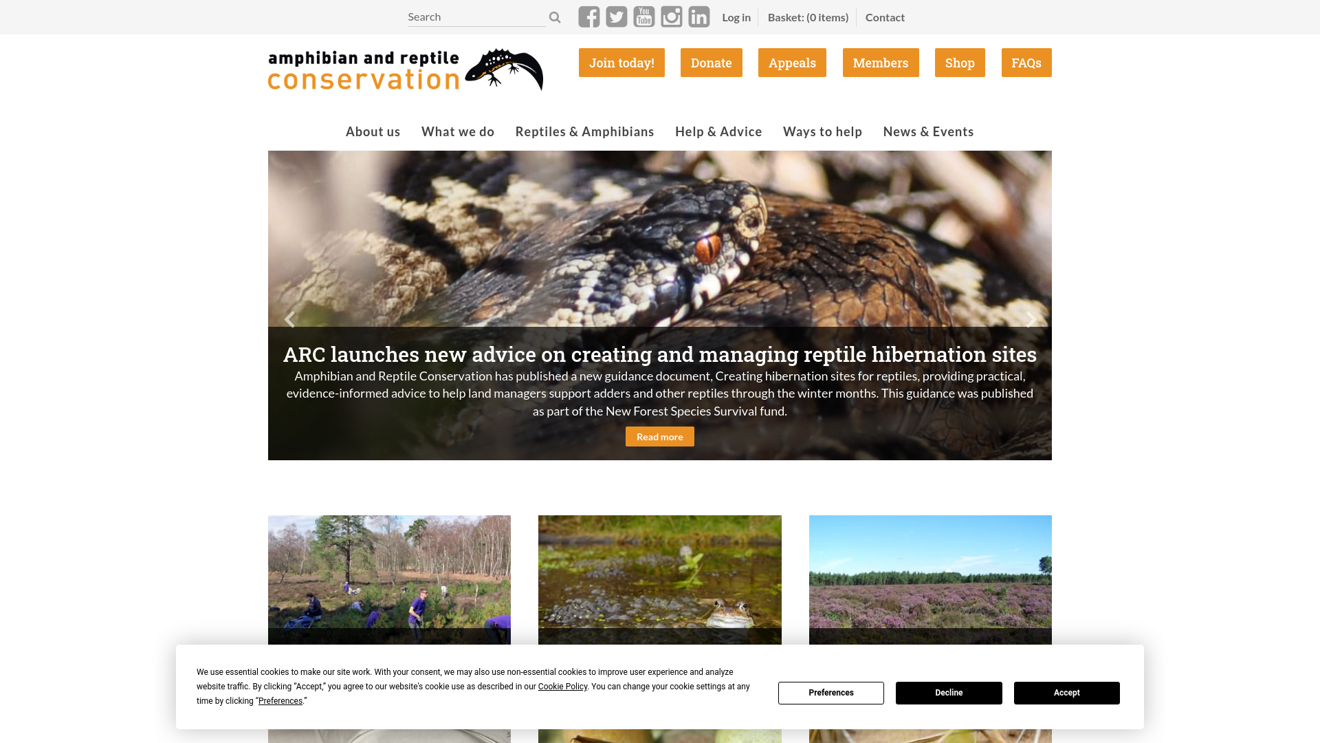 Website screenshot