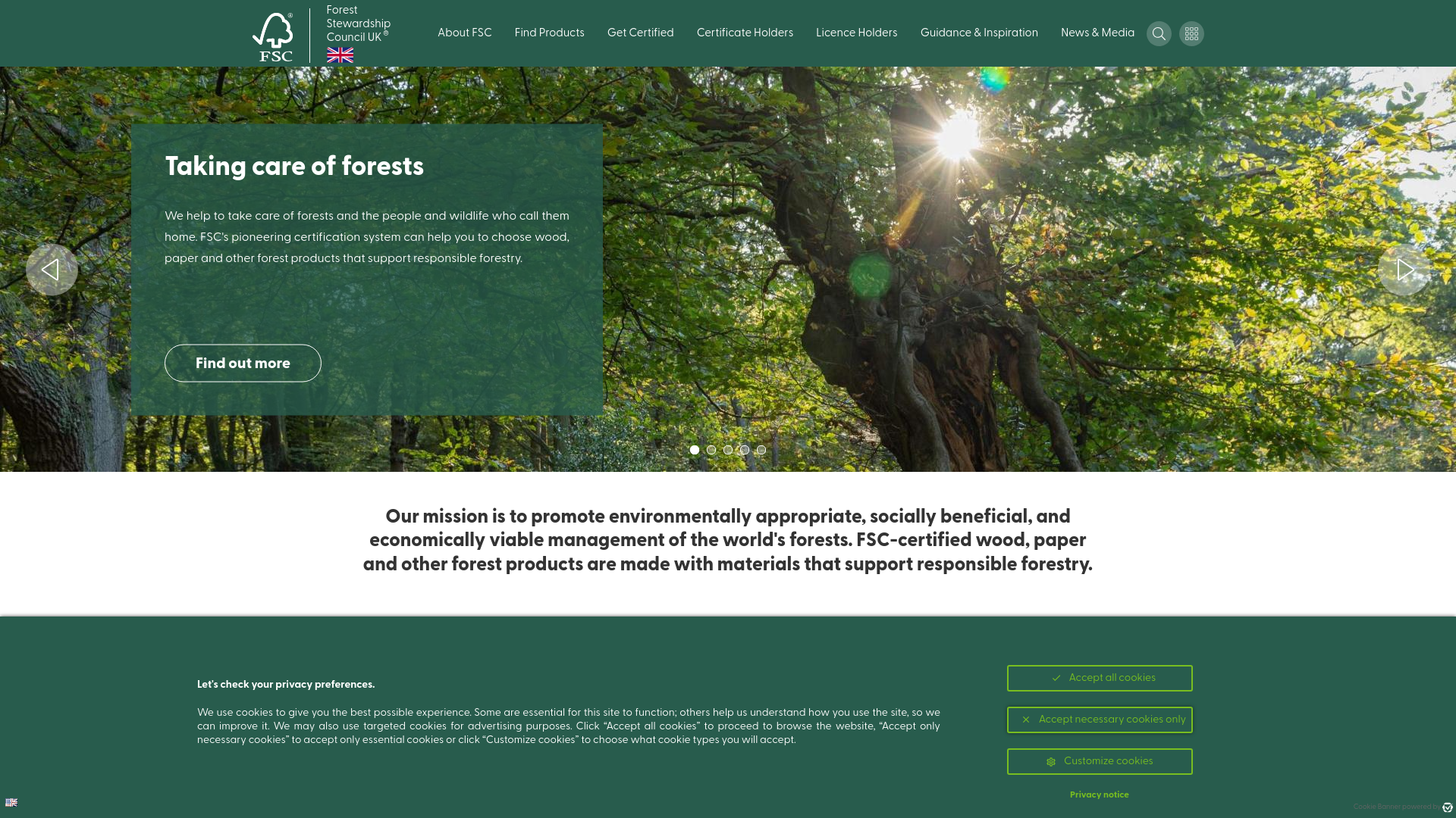 Website screenshot