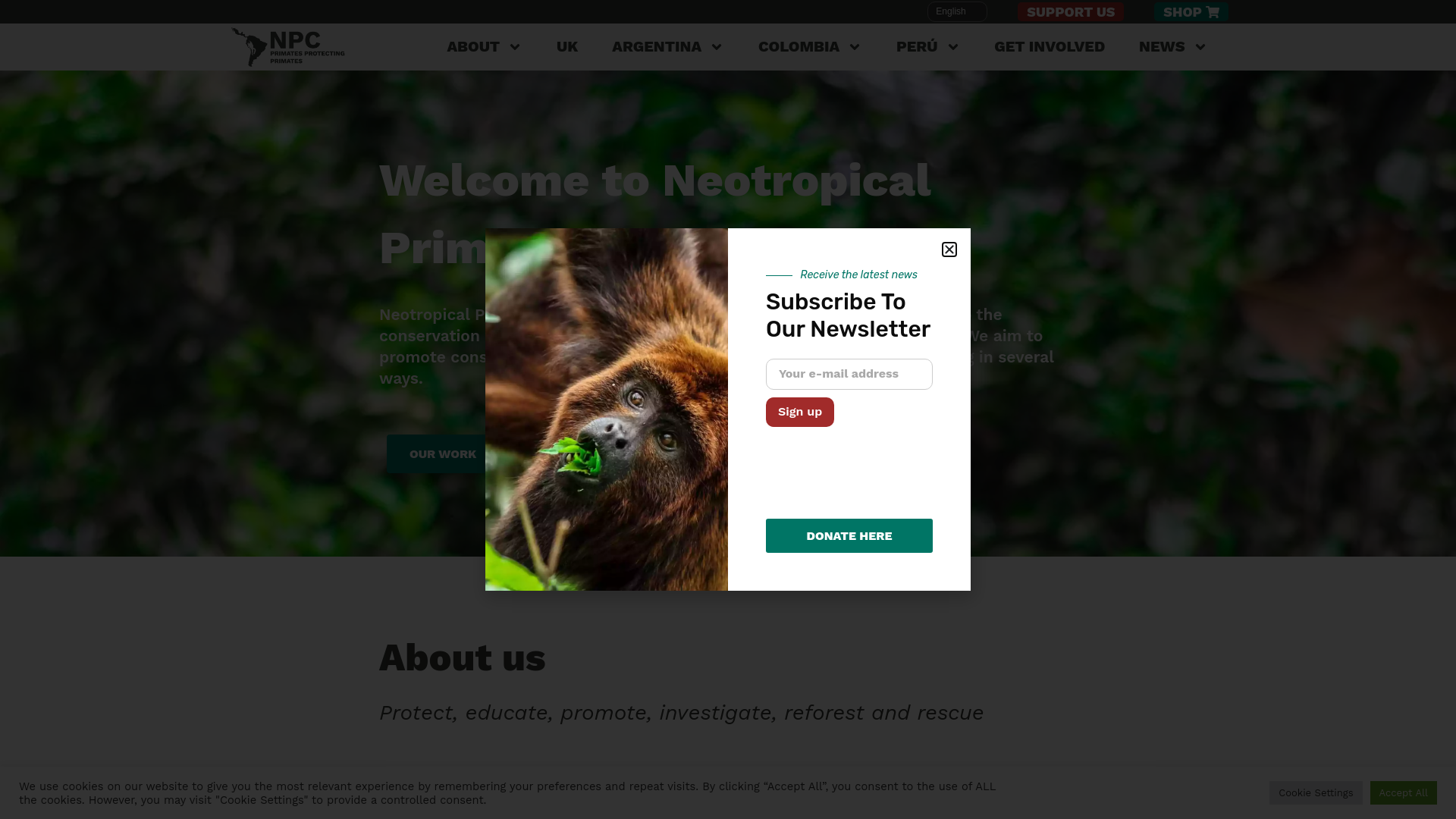 Website screenshot