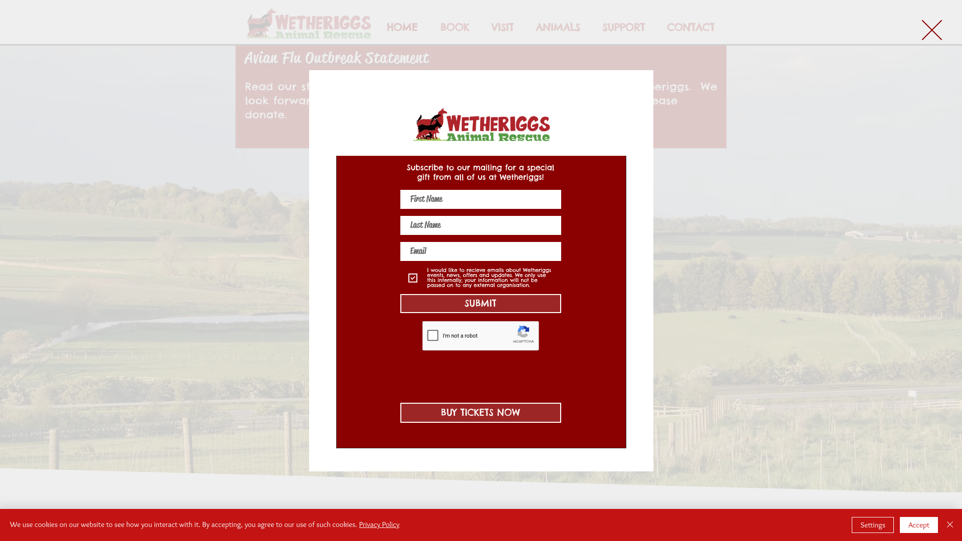 Website screenshot
