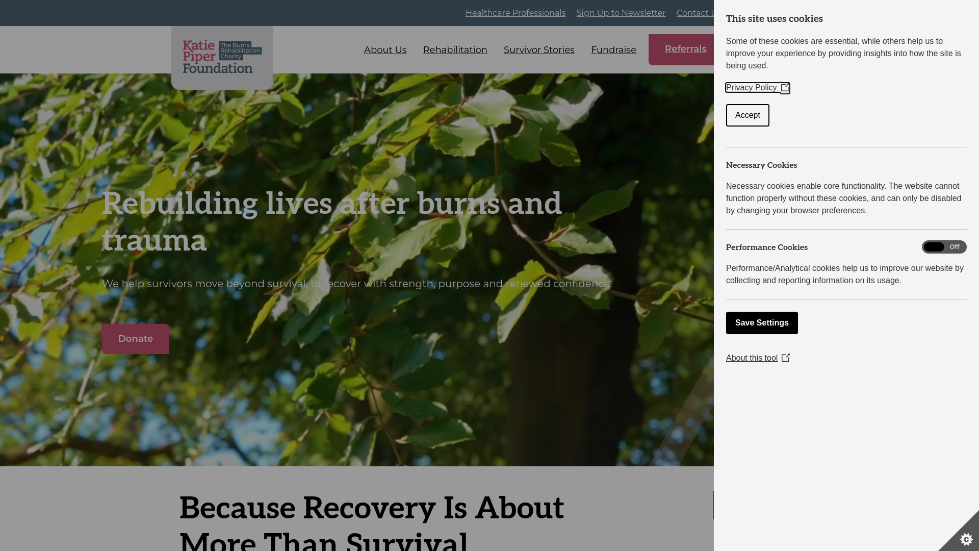 Website screenshot