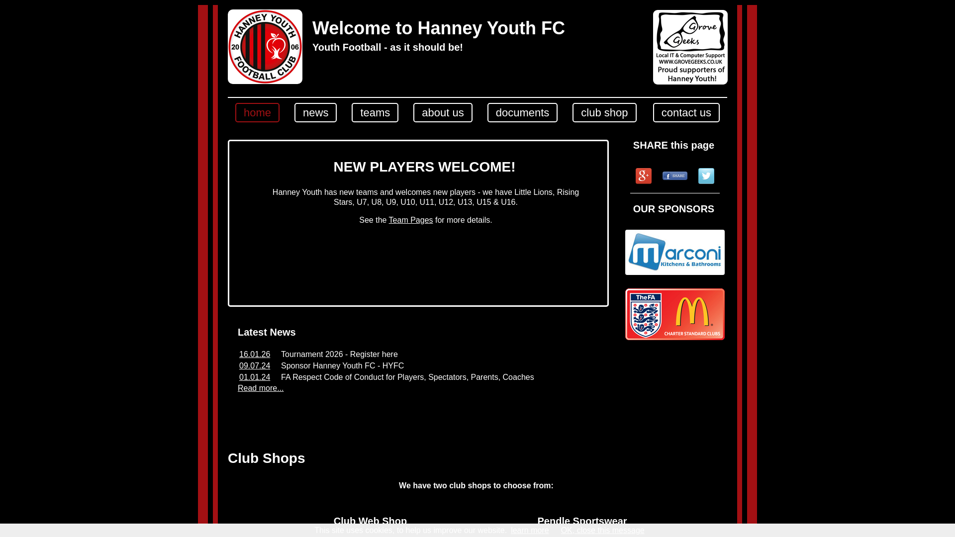 Website screenshot
