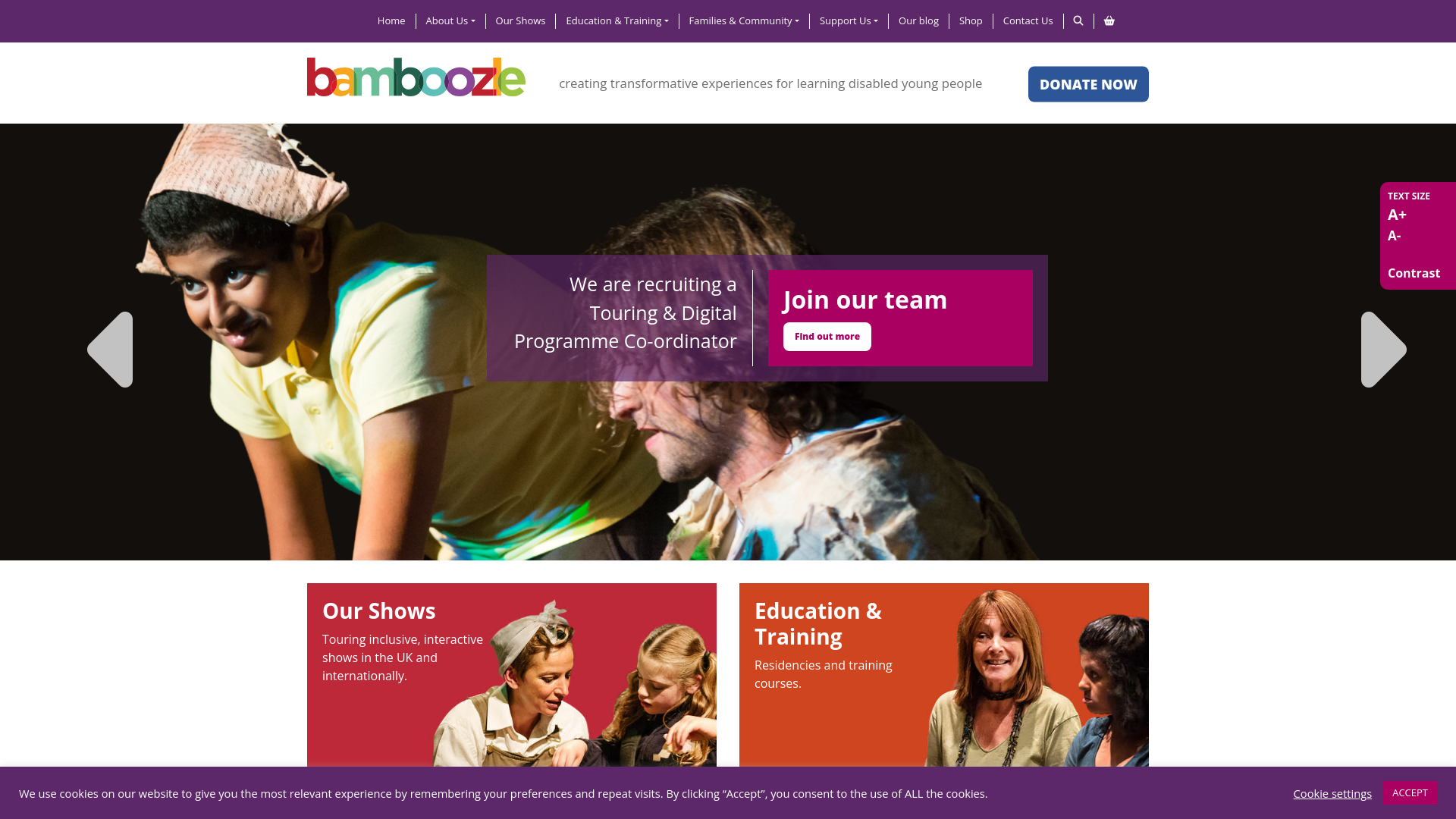 Website screenshot
