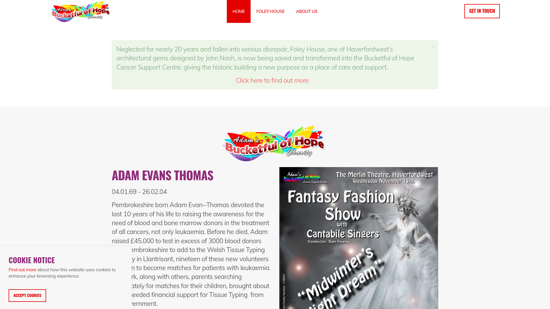 Website screenshot
