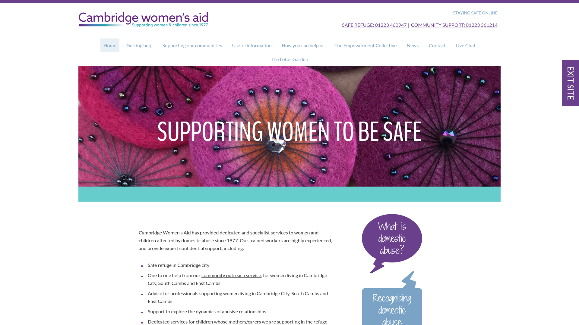 Website screenshot