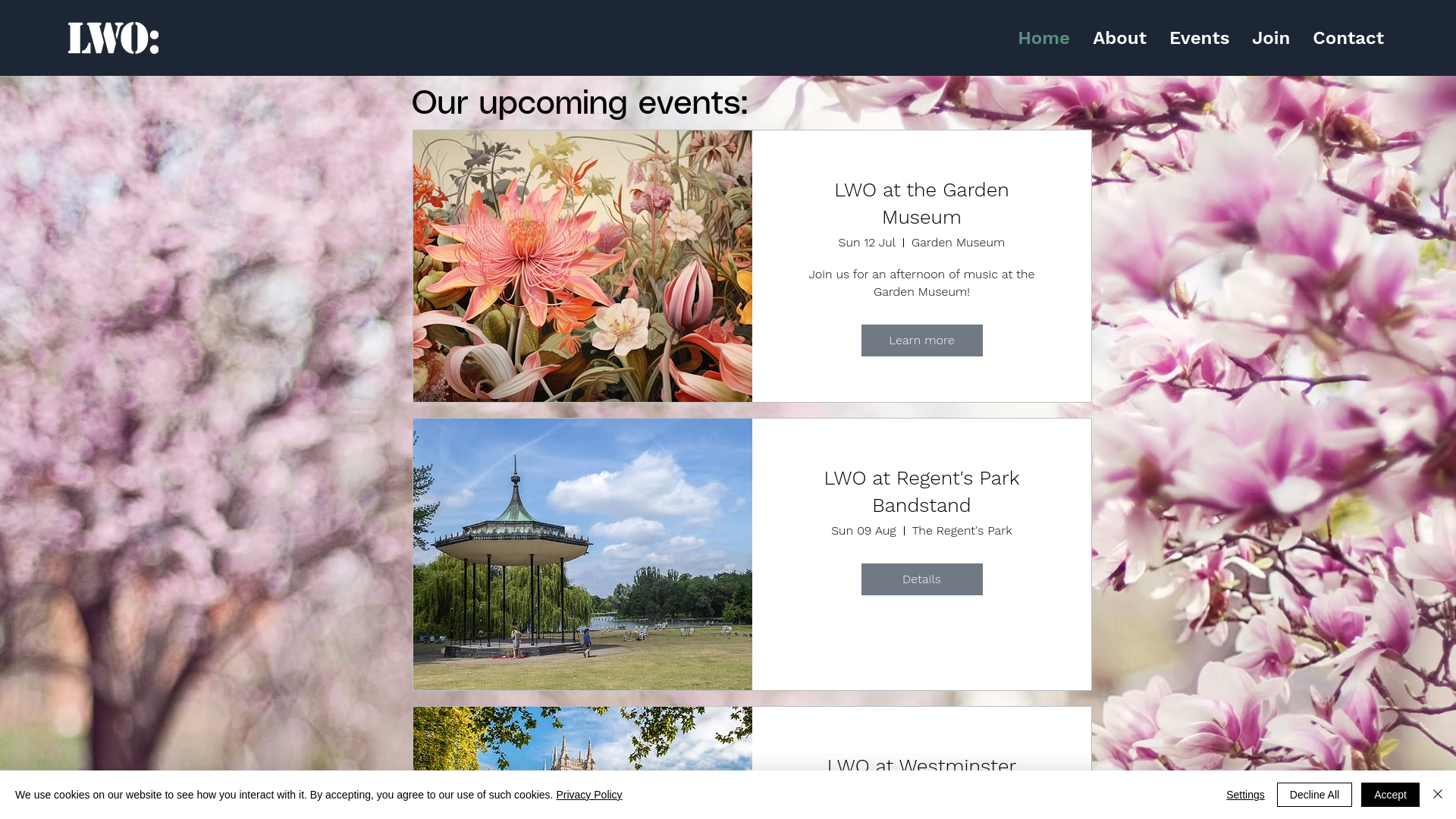 Website screenshot