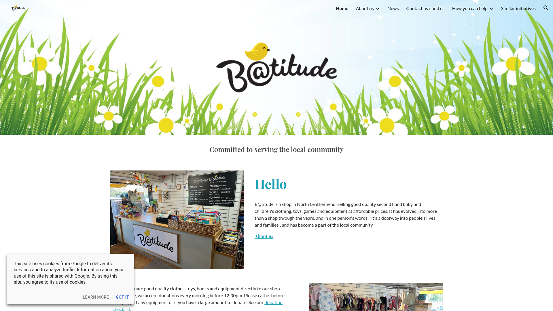 Website screenshot