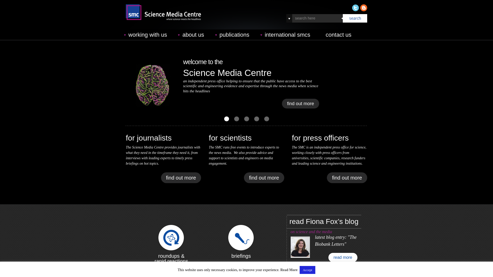 Website screenshot