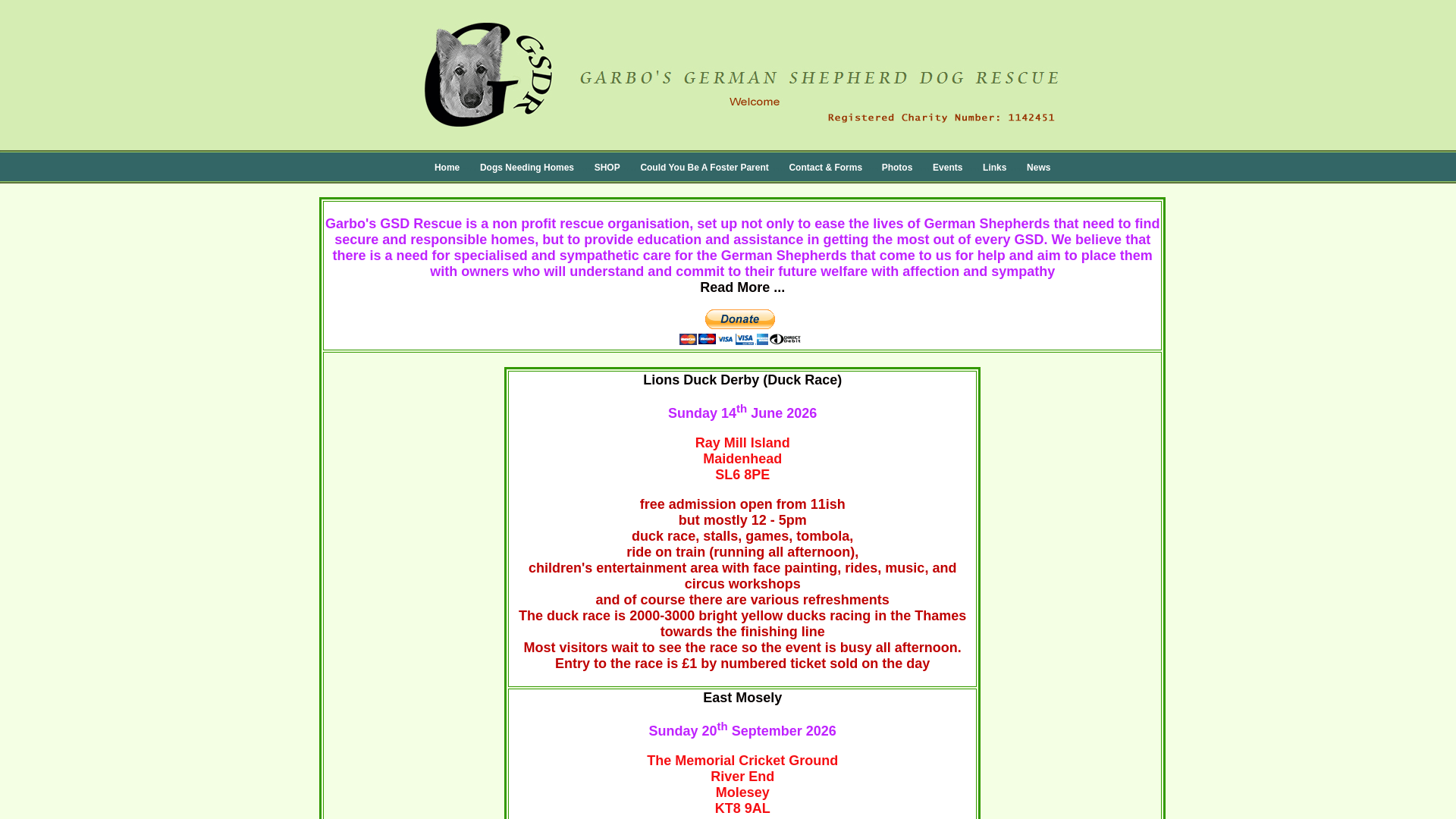 Website screenshot