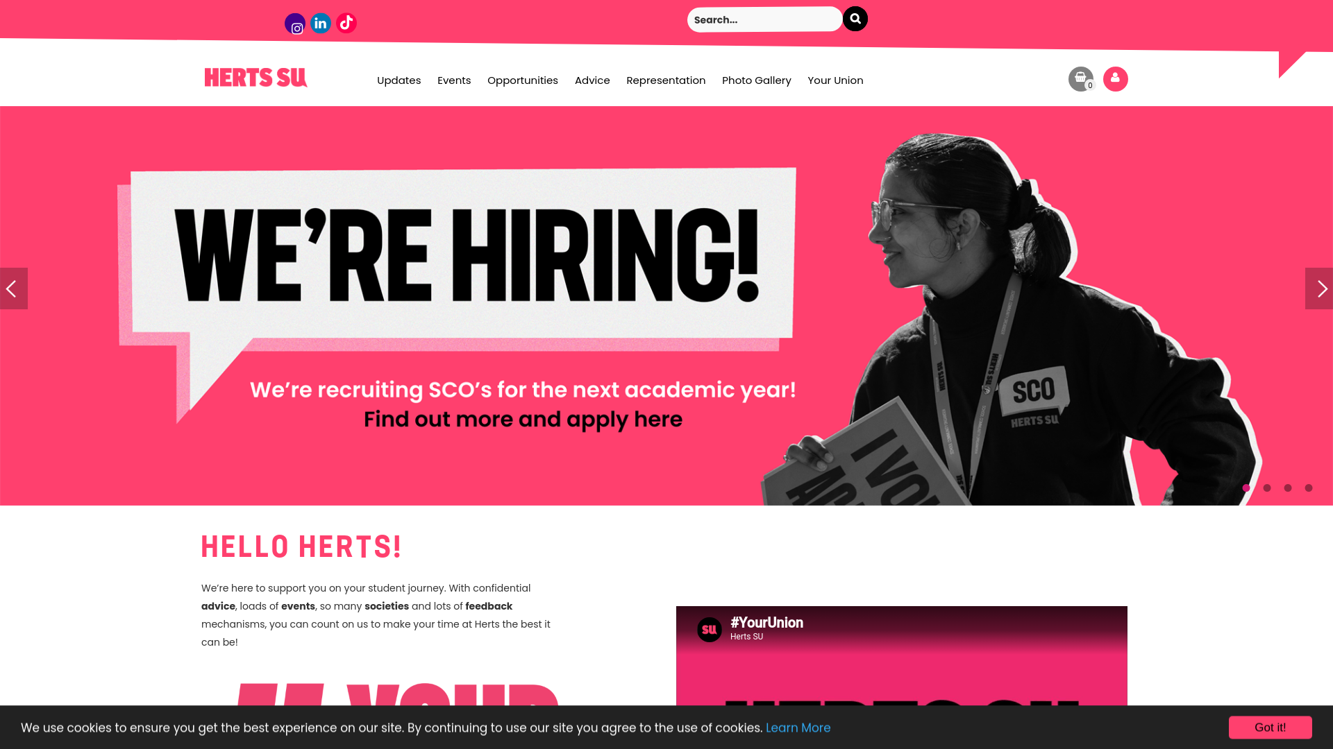 Website screenshot