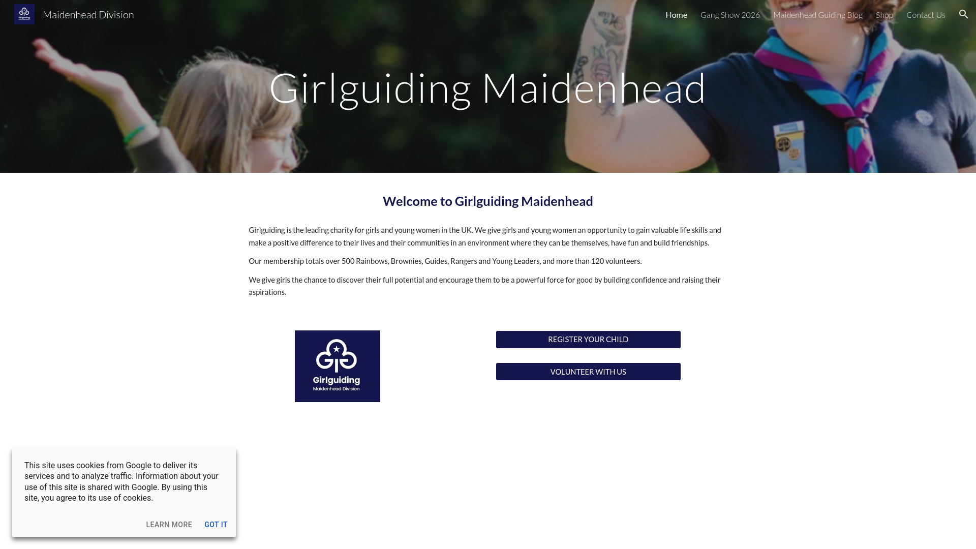 Website screenshot