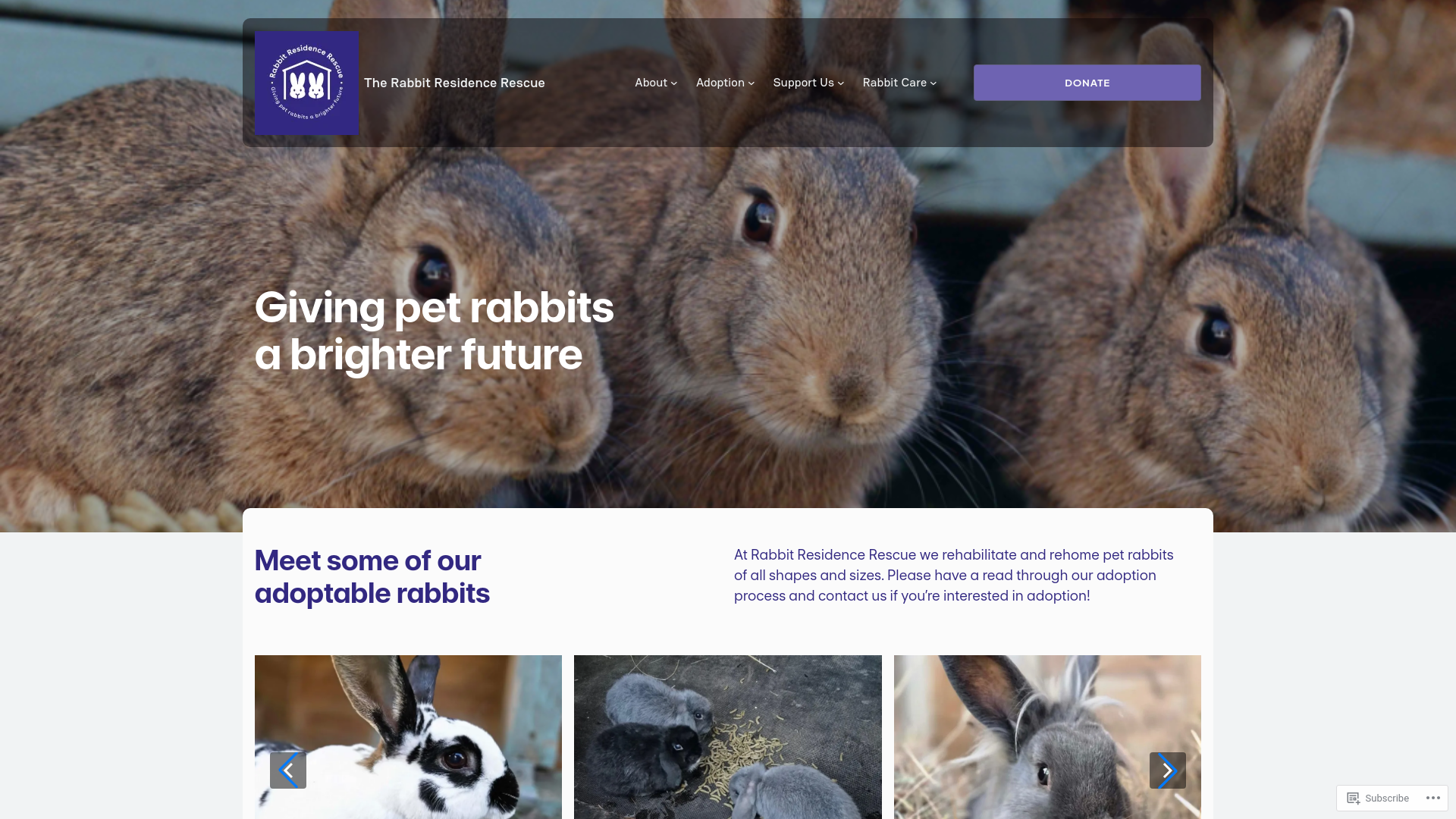 Website screenshot