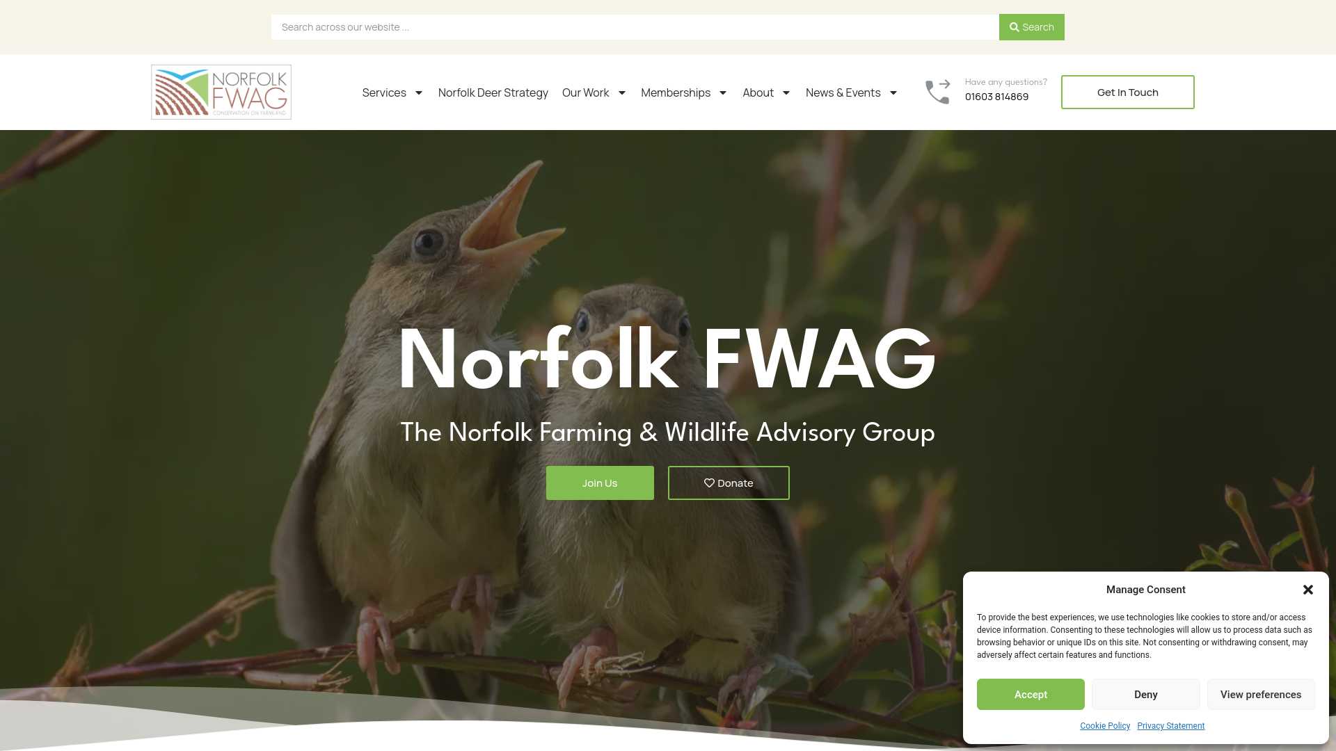 Website screenshot