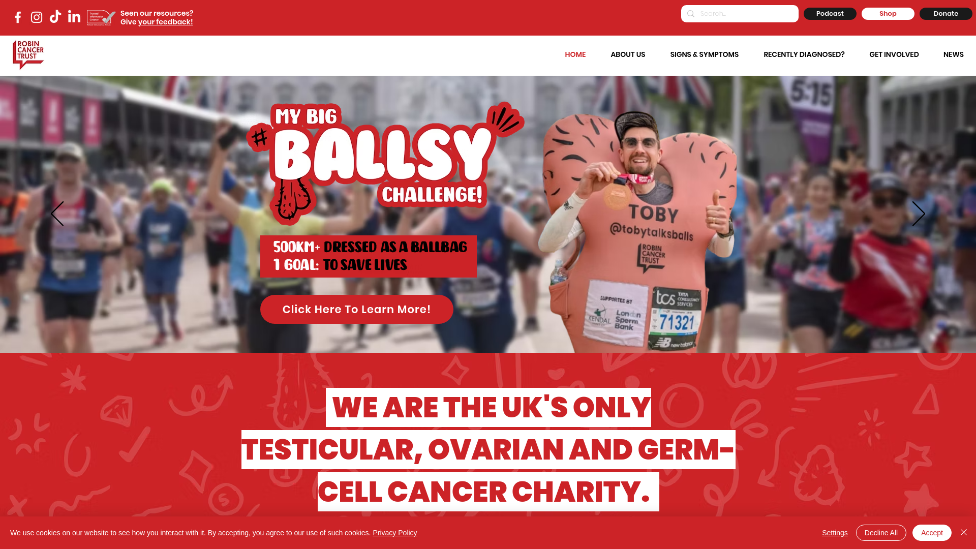 Website screenshot
