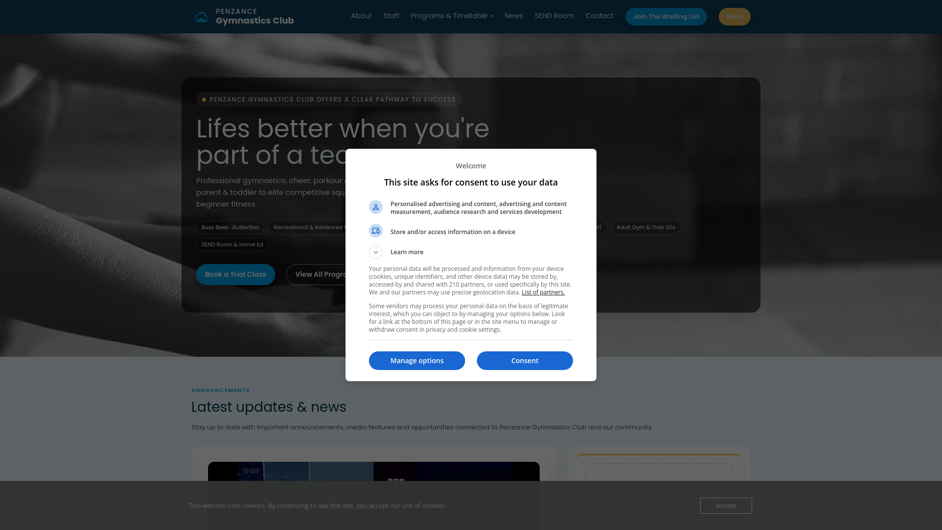 Website screenshot