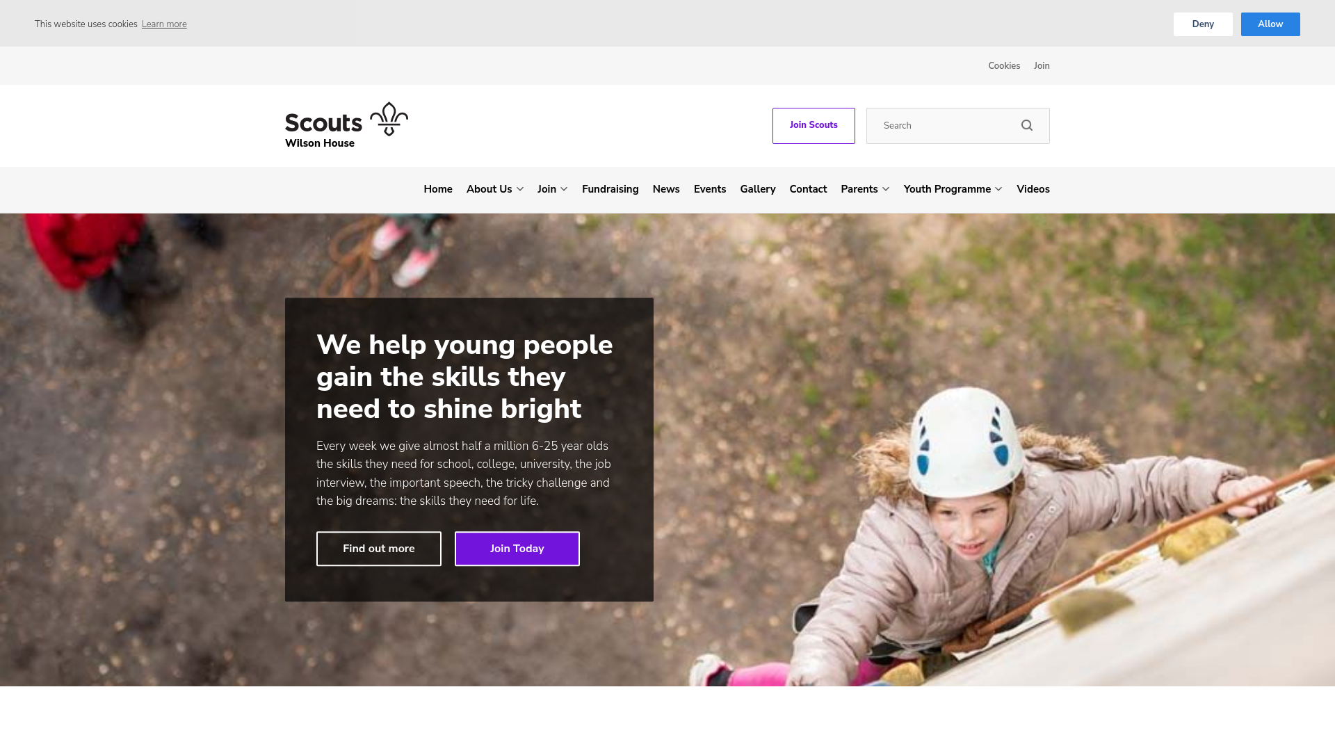 Website screenshot