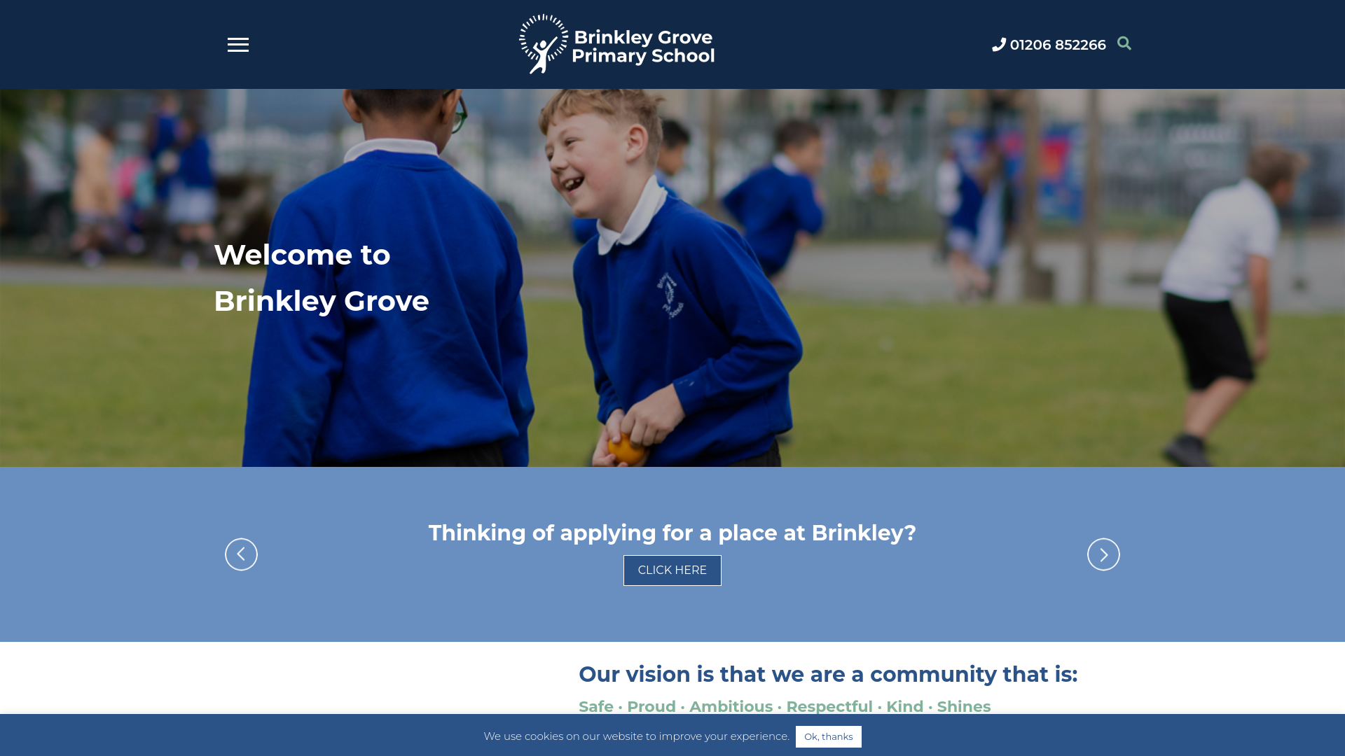 Website screenshot
