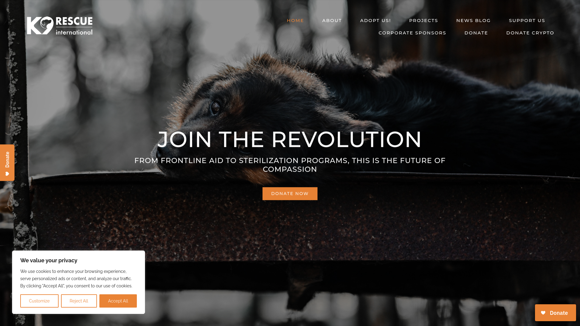Website screenshot