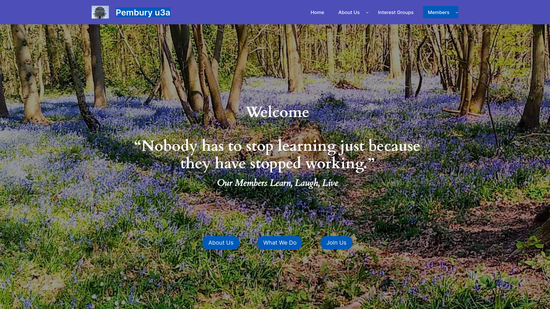 Website screenshot