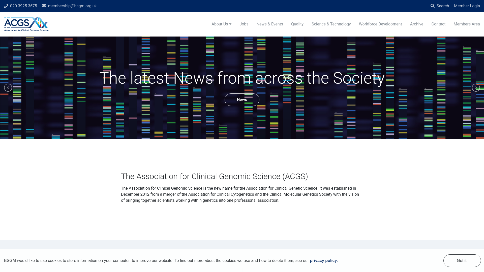 Website screenshot