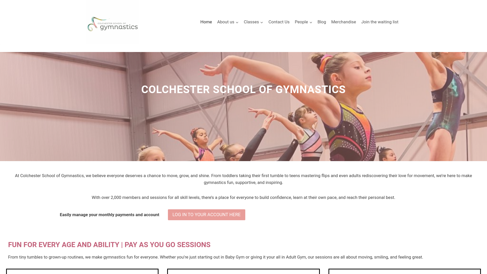 Website screenshot