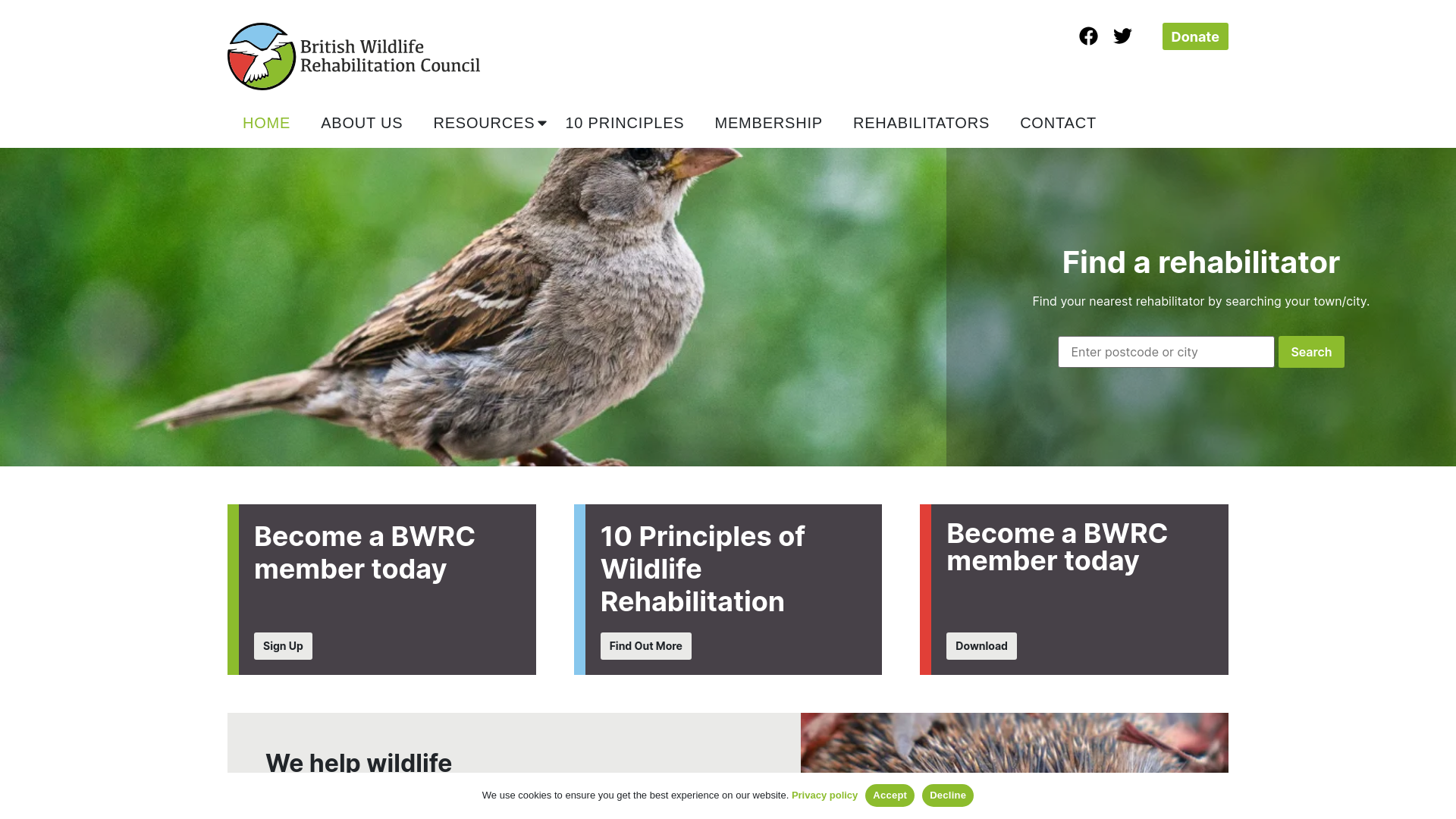 Website screenshot
