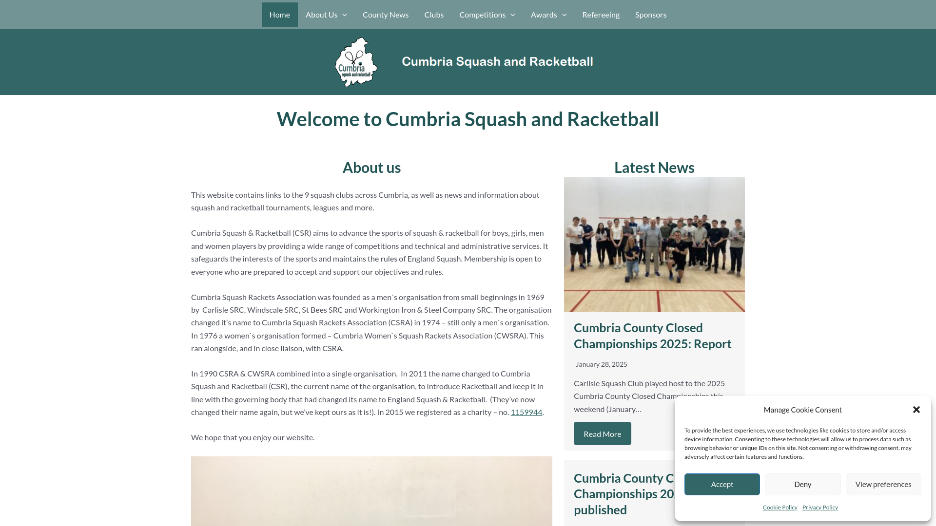Website screenshot