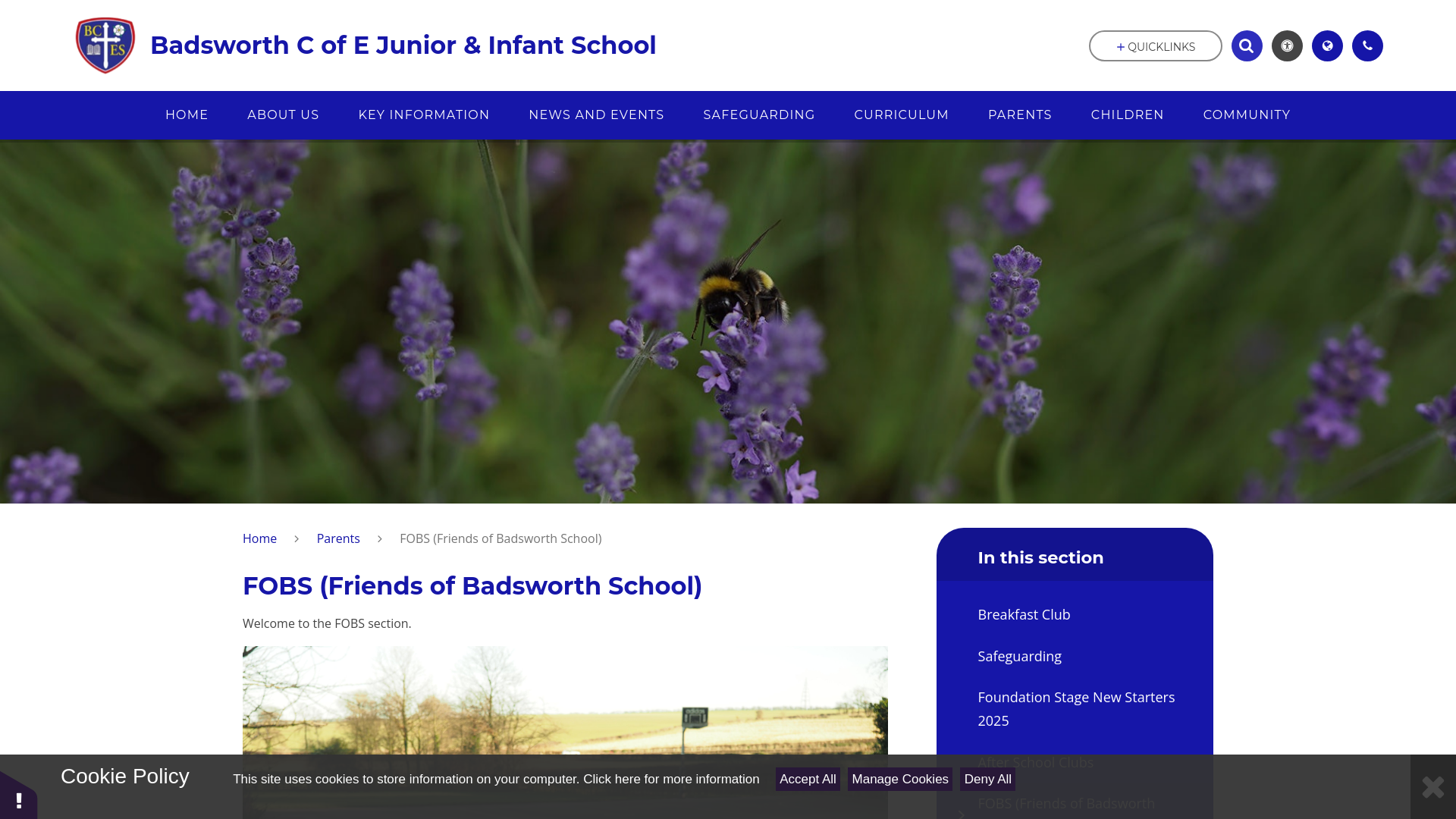 Website screenshot
