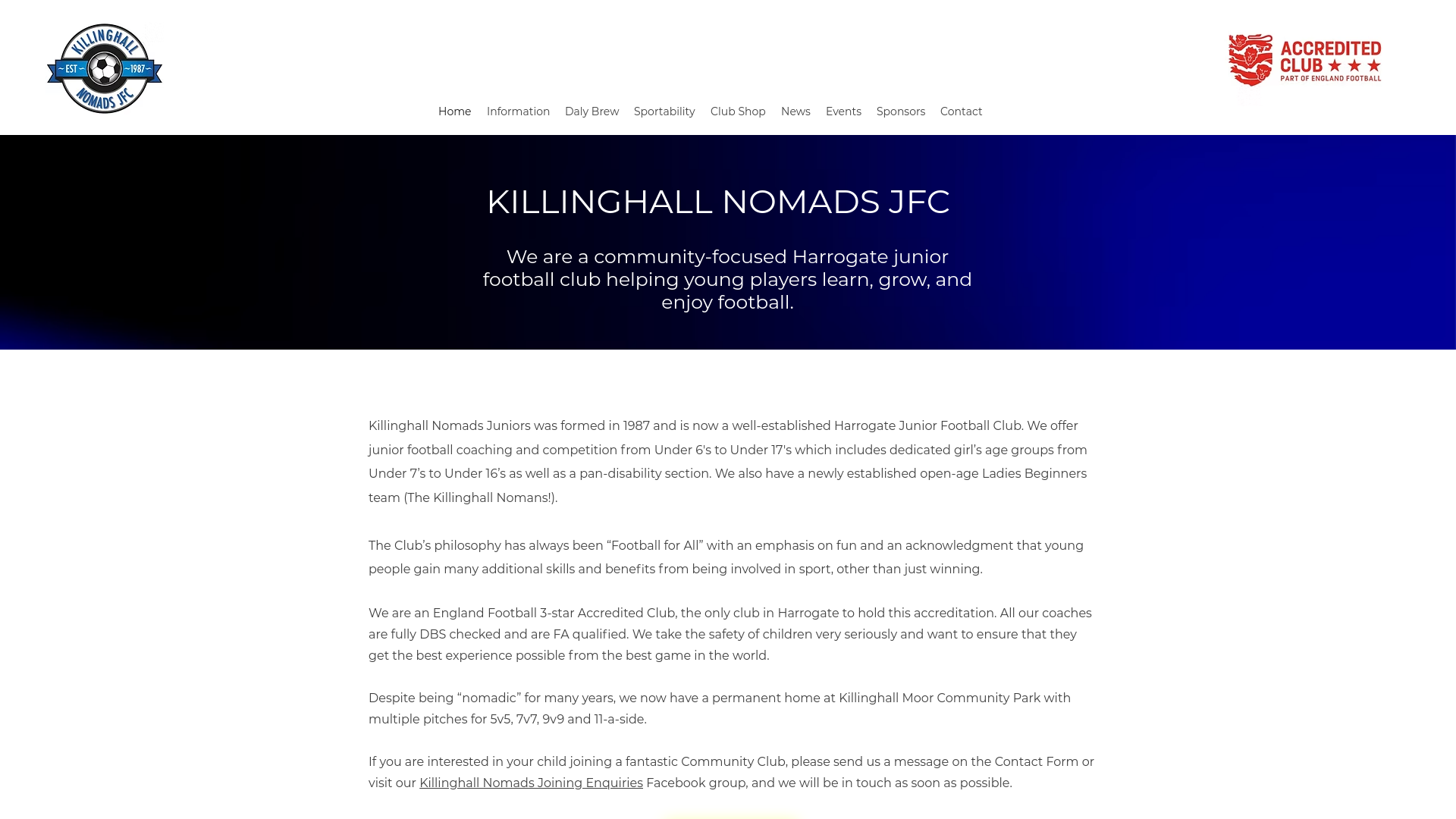 Website screenshot
