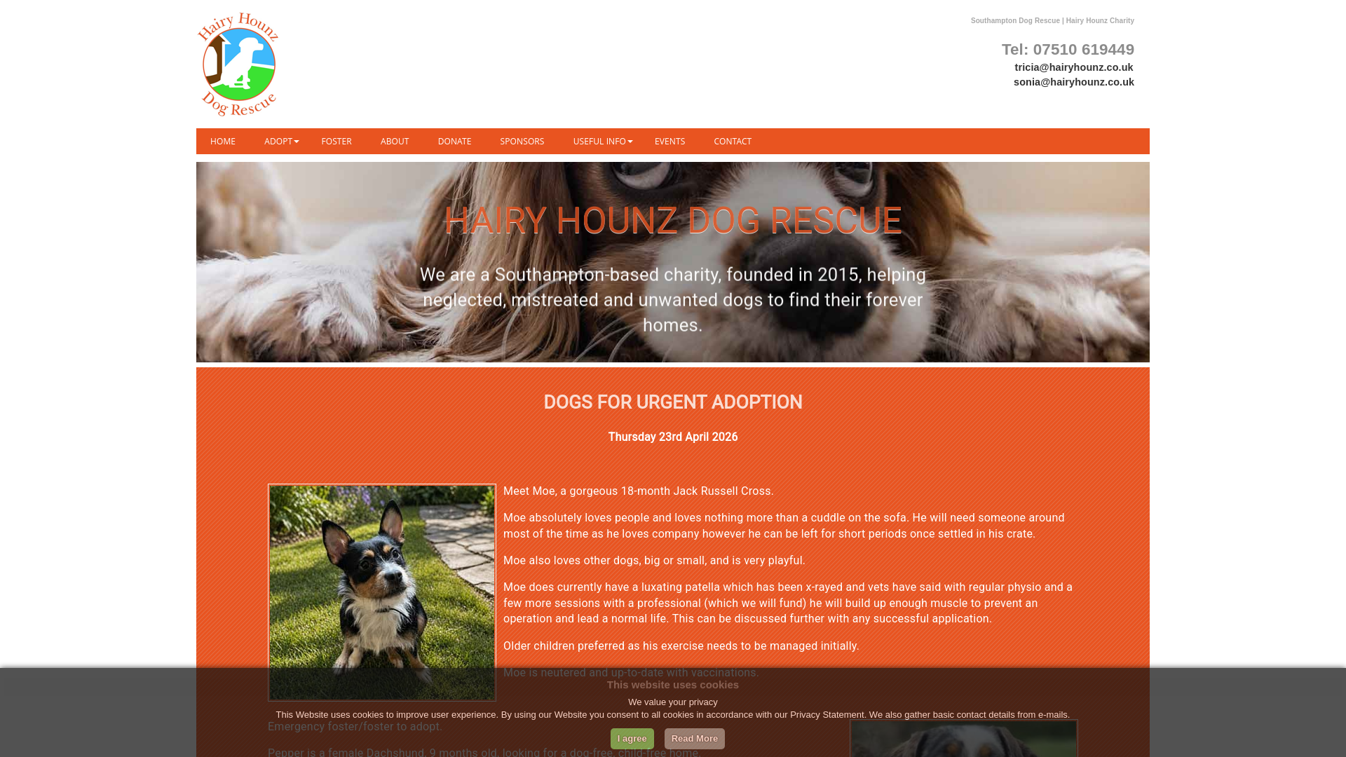 Website screenshot