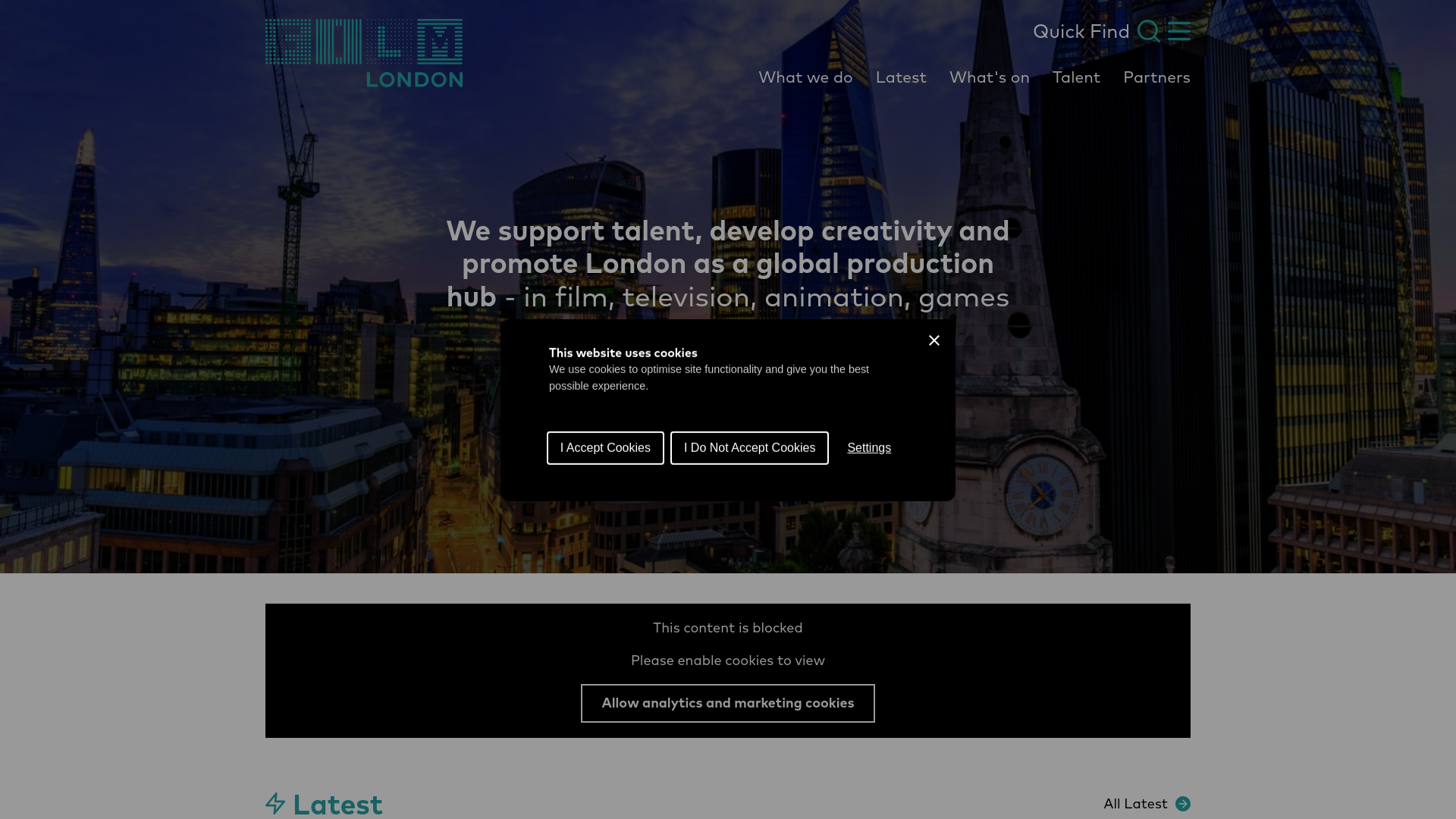 Website screenshot