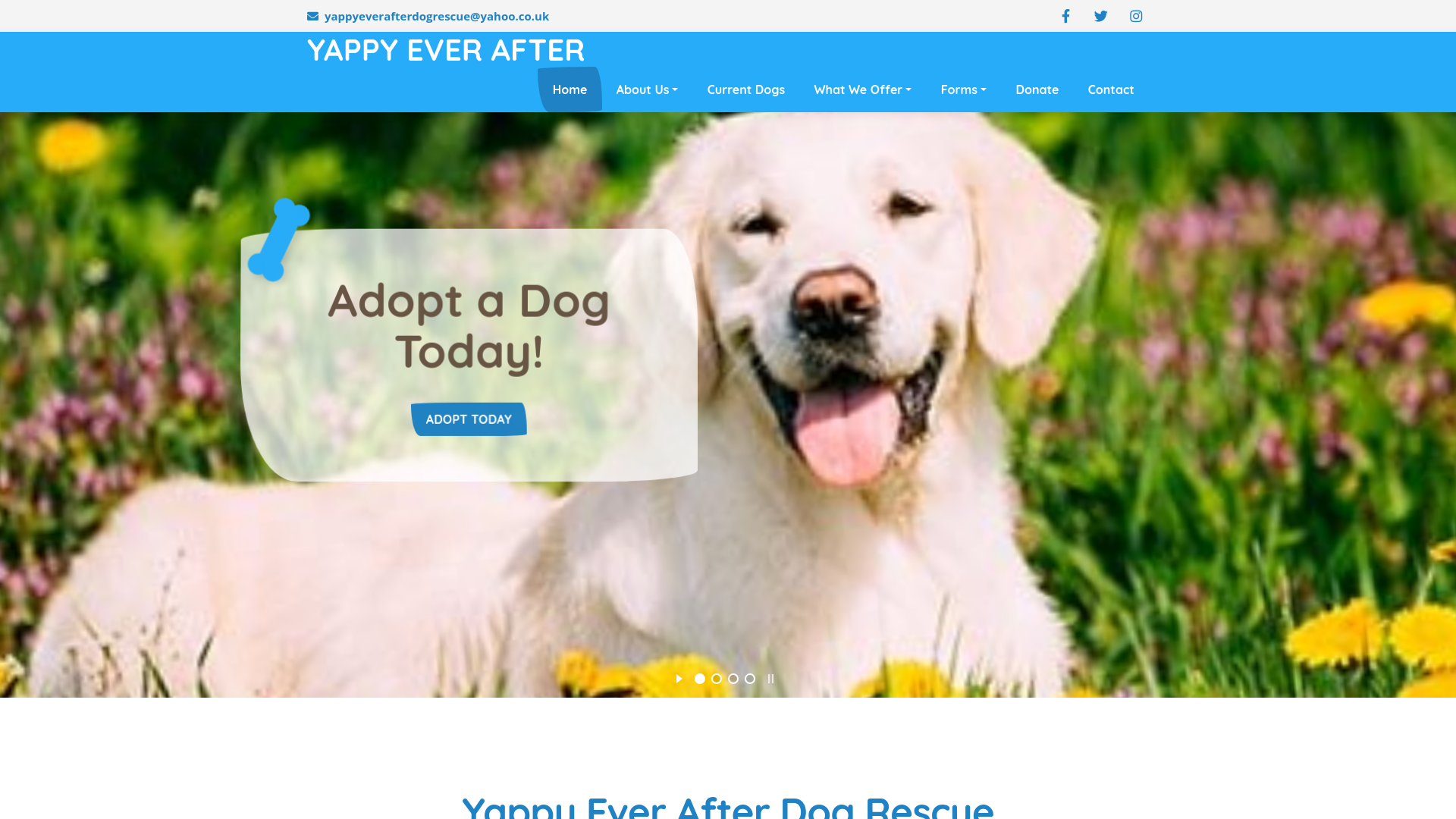 Website screenshot