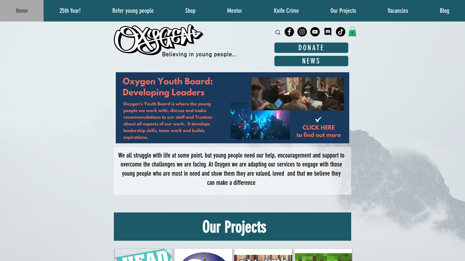 Website screenshot