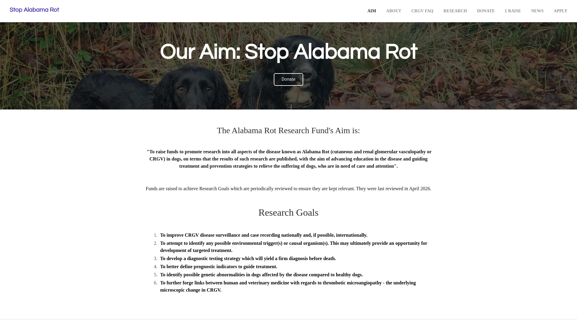 Website screenshot