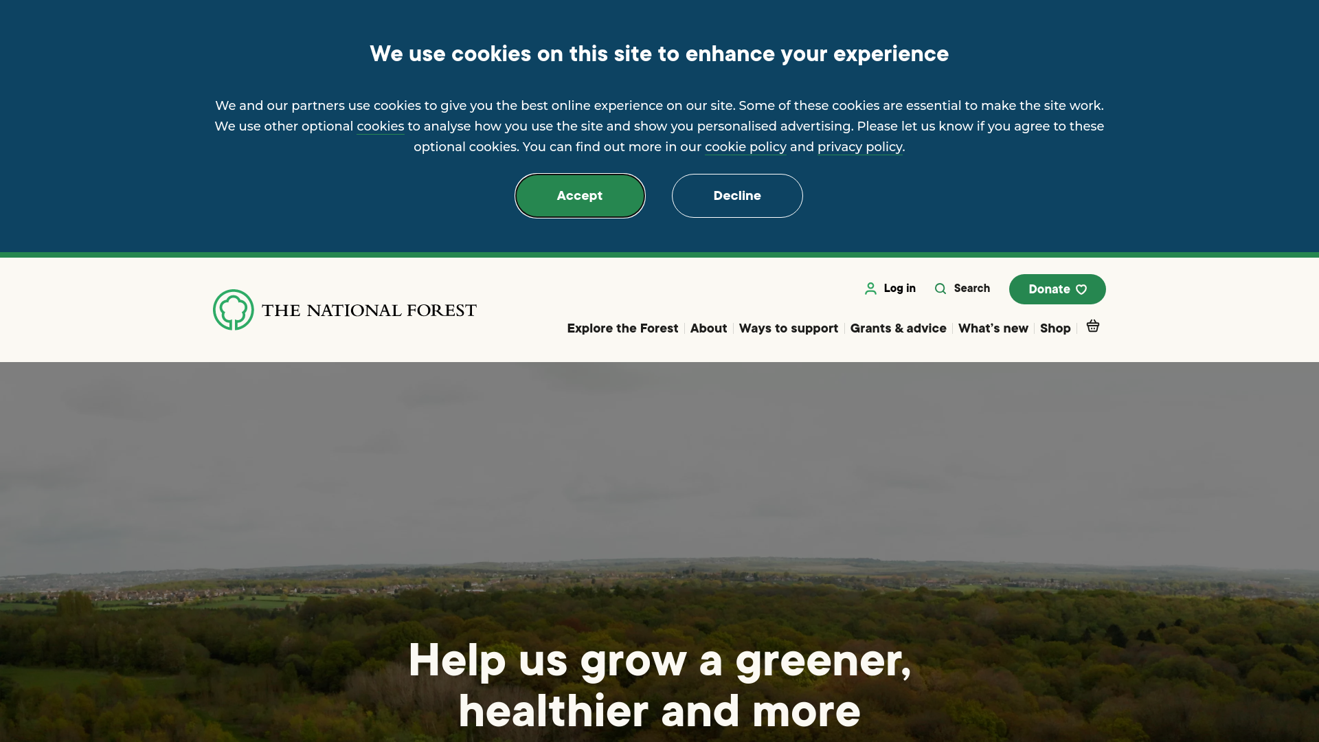 Website screenshot