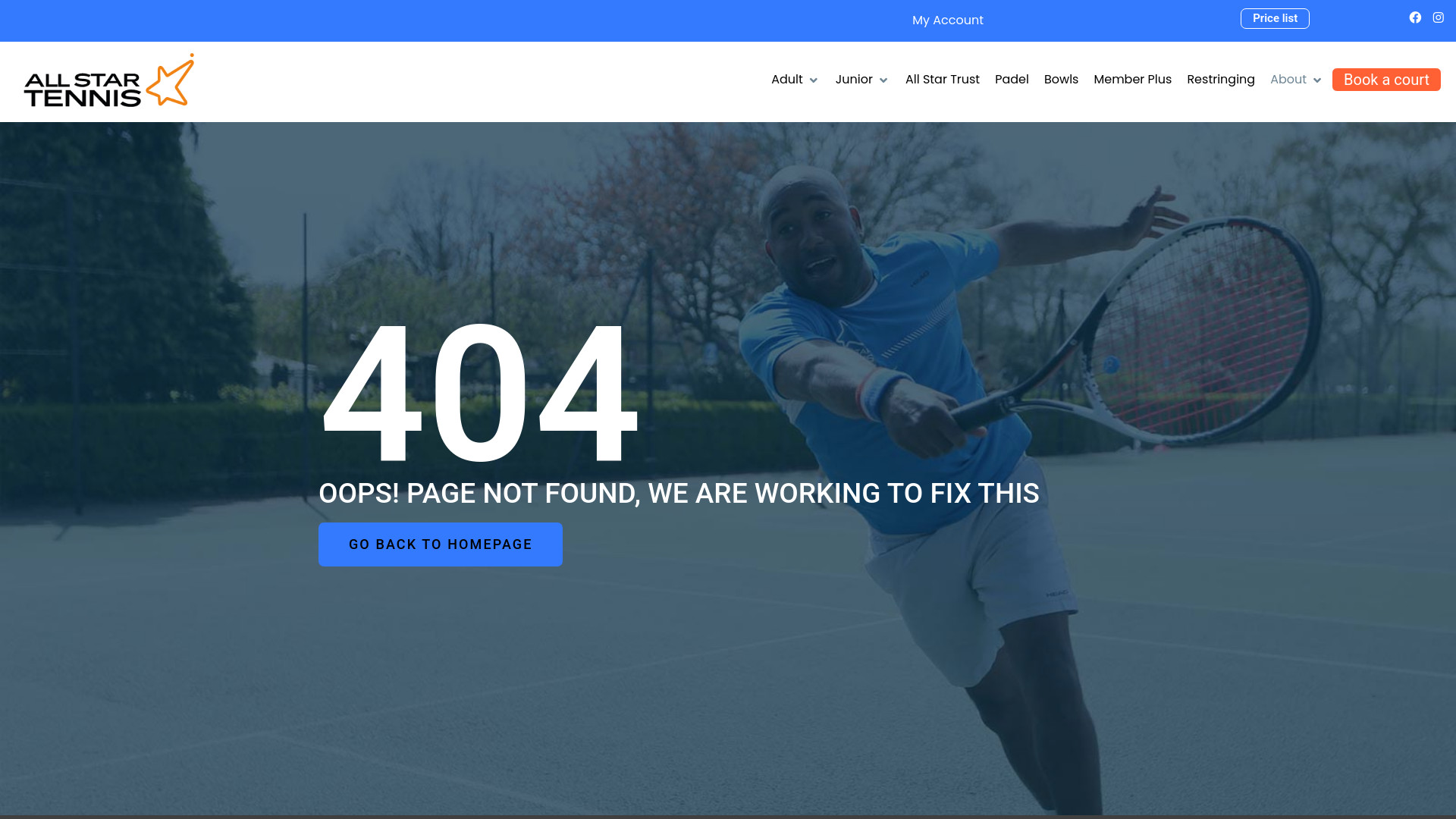 Website screenshot