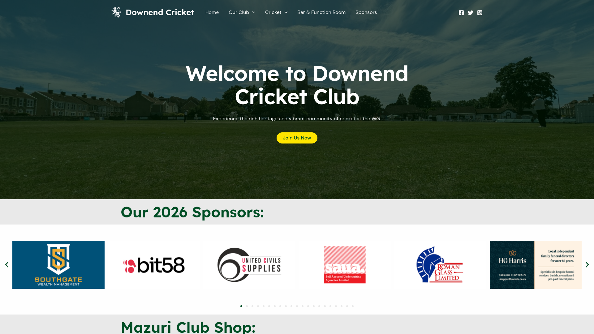 Website screenshot