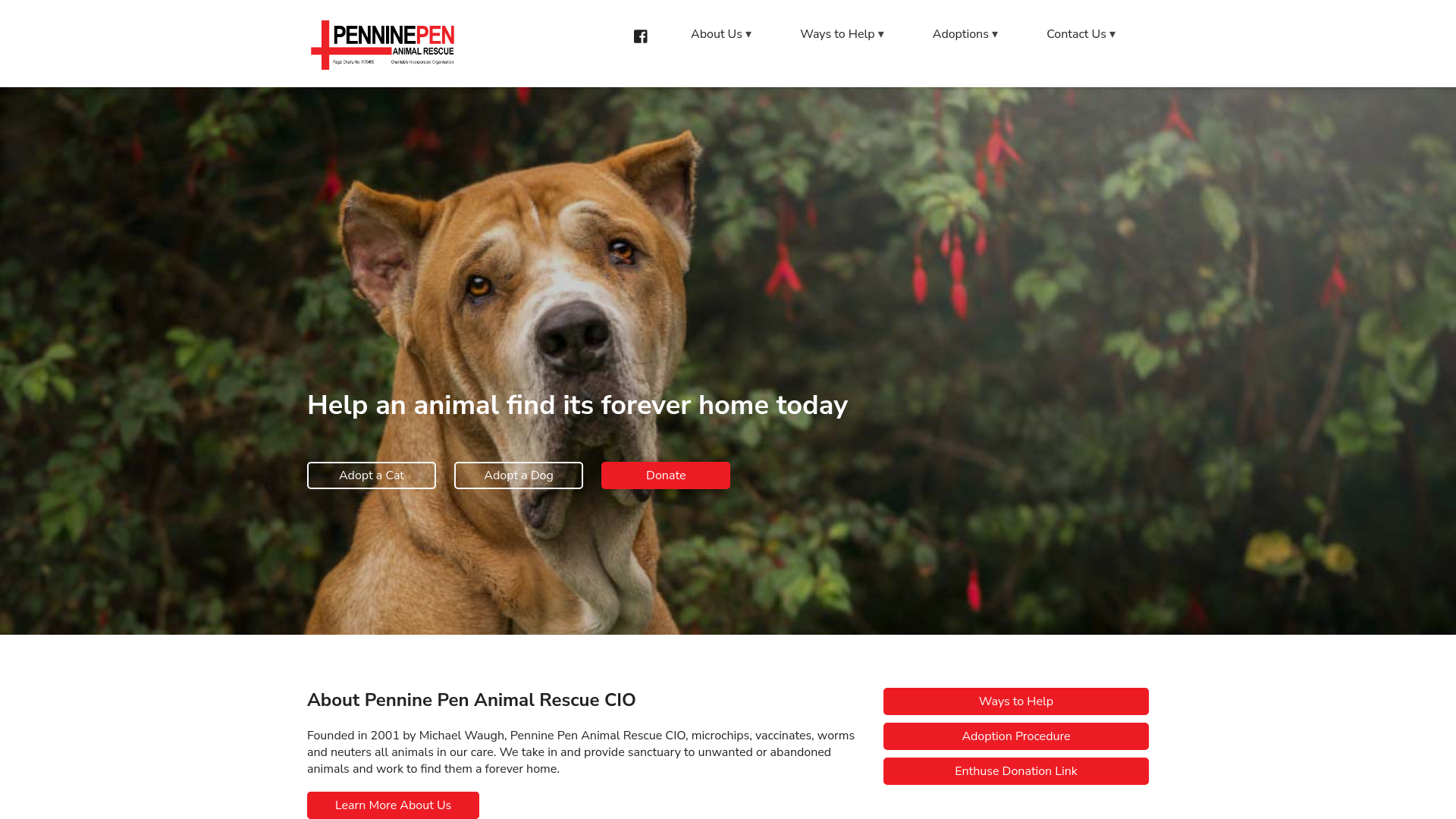Website screenshot