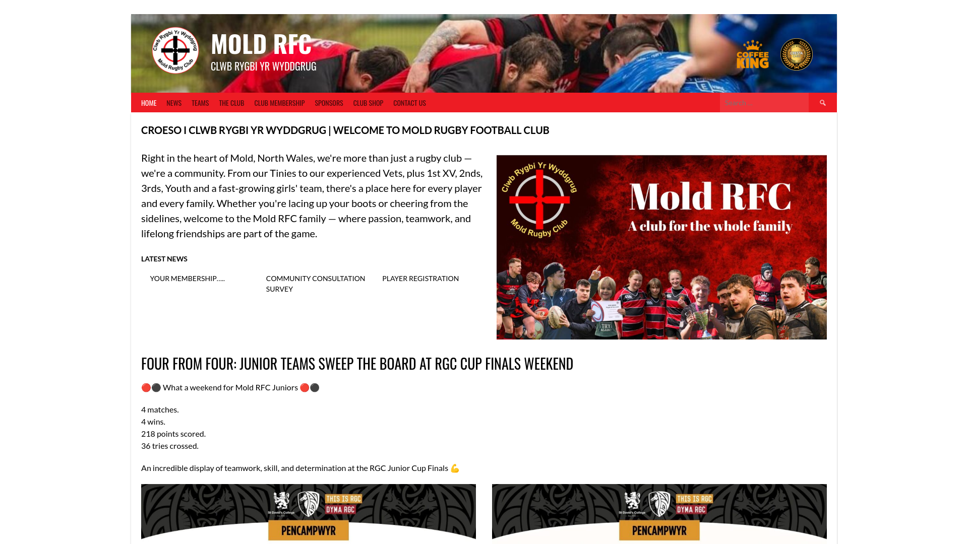Website screenshot