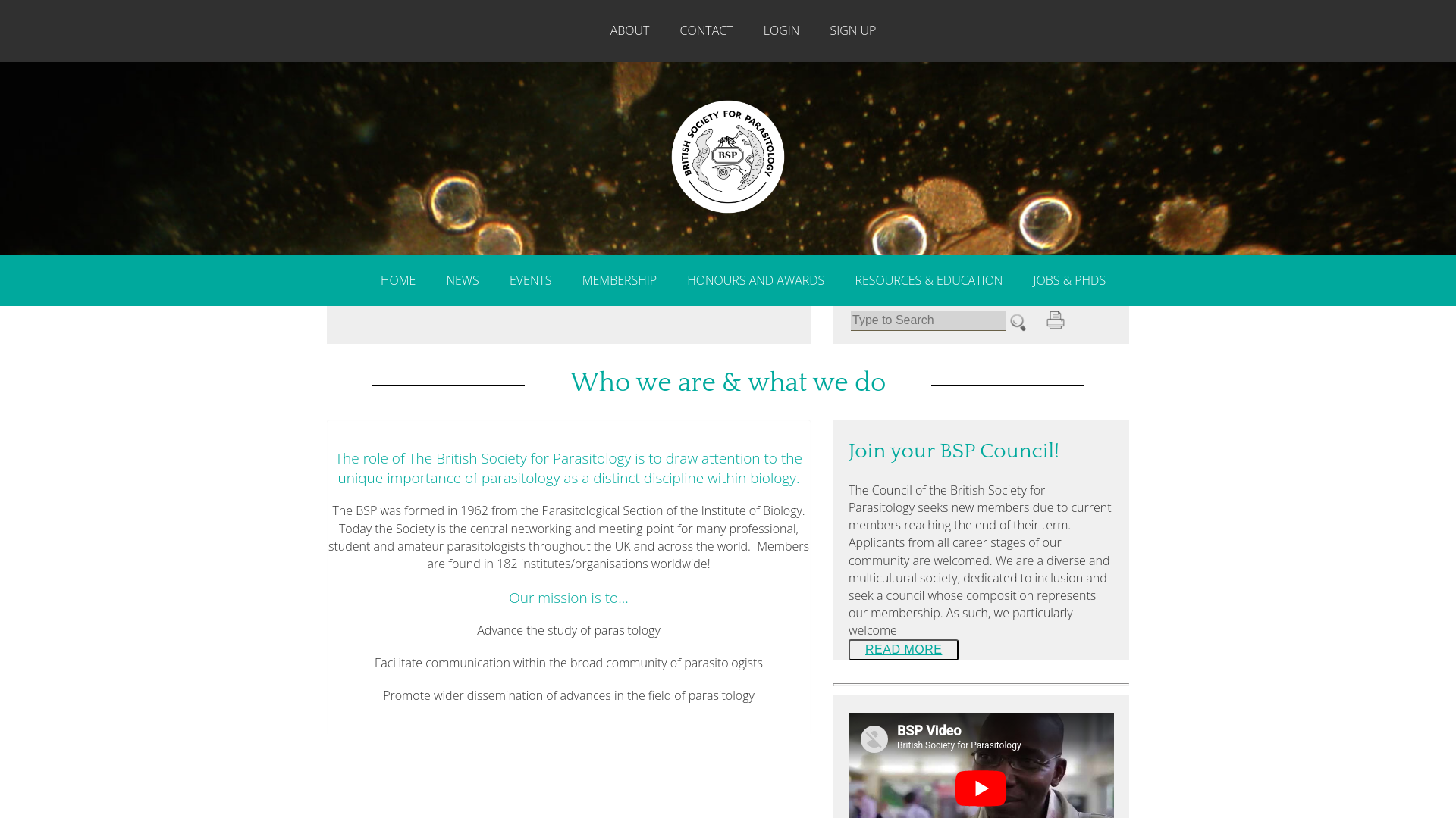 Website screenshot
