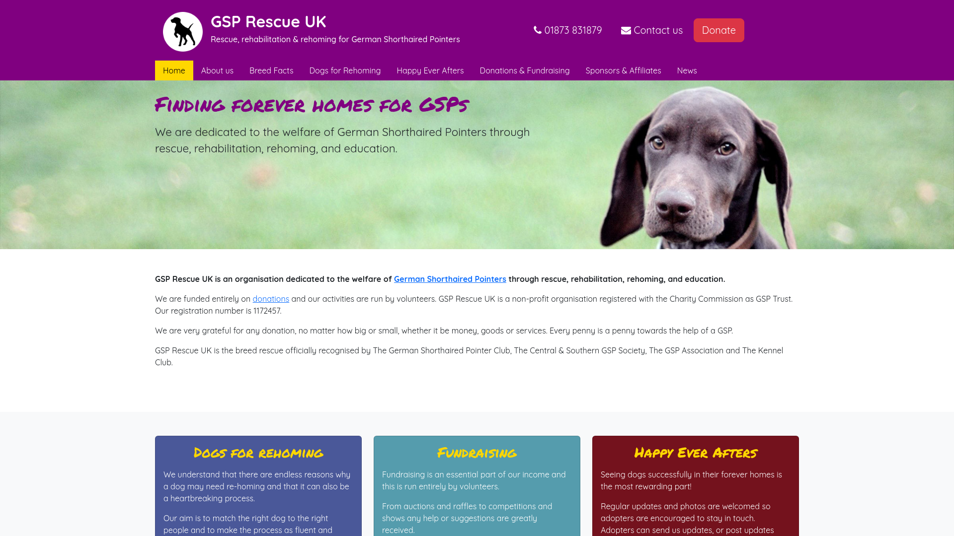 Website screenshot