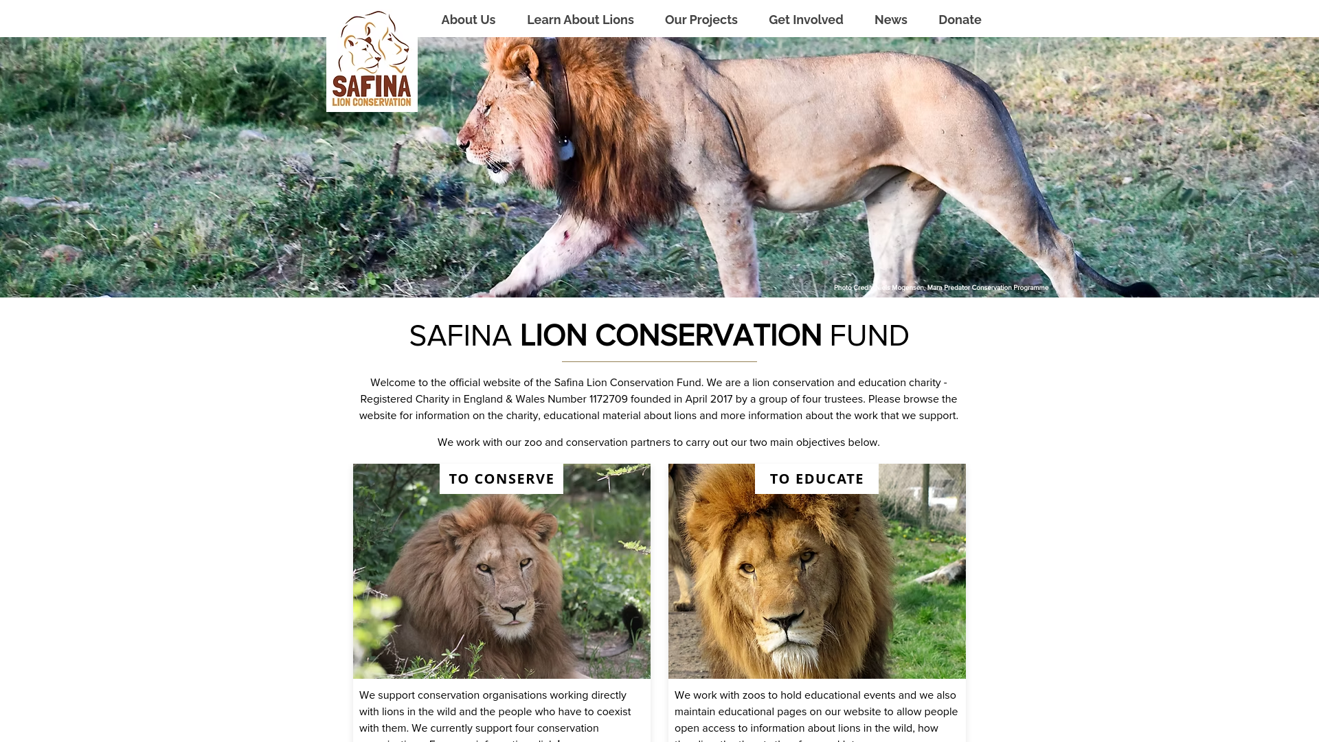 Website screenshot