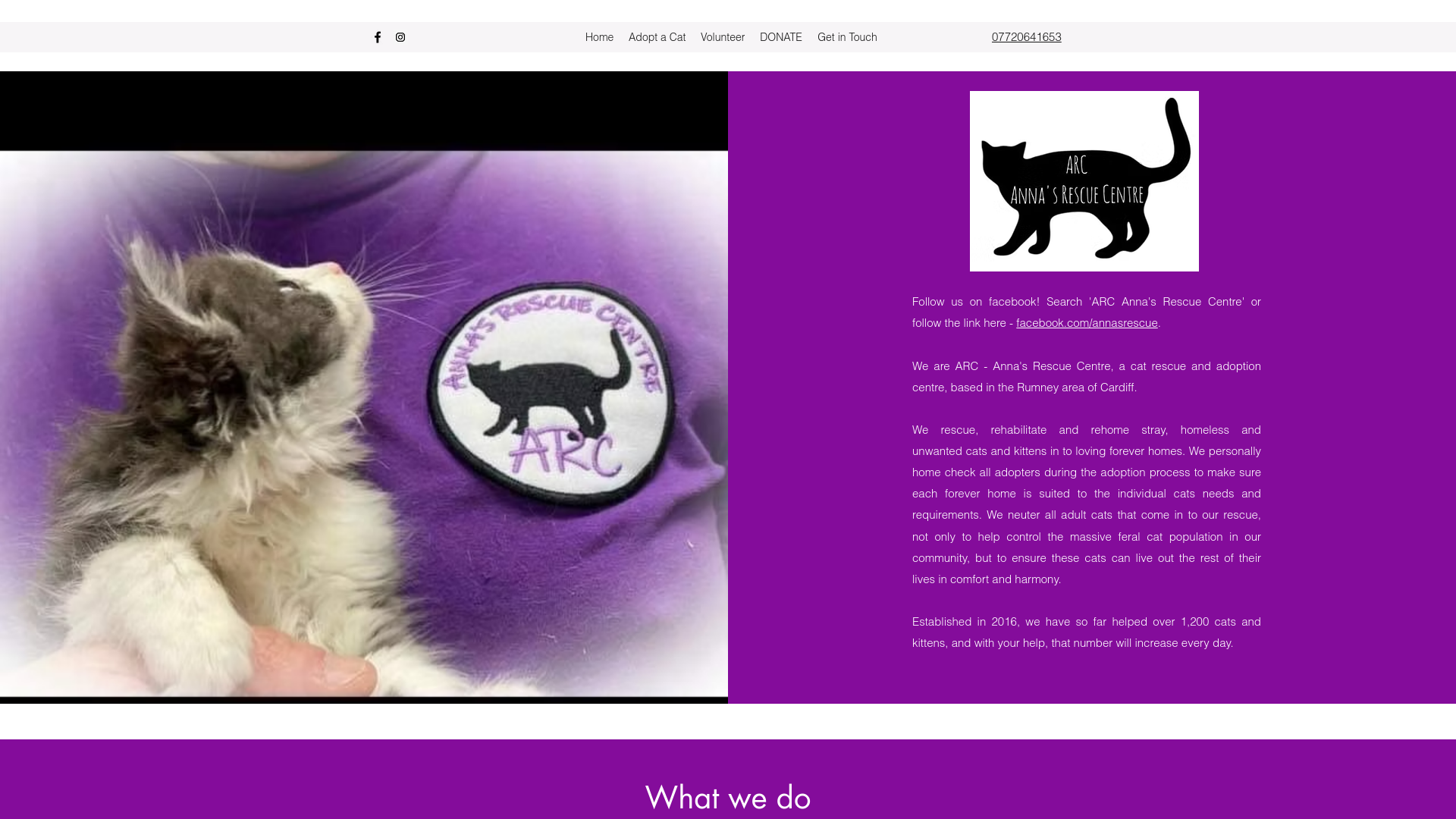 Website screenshot
