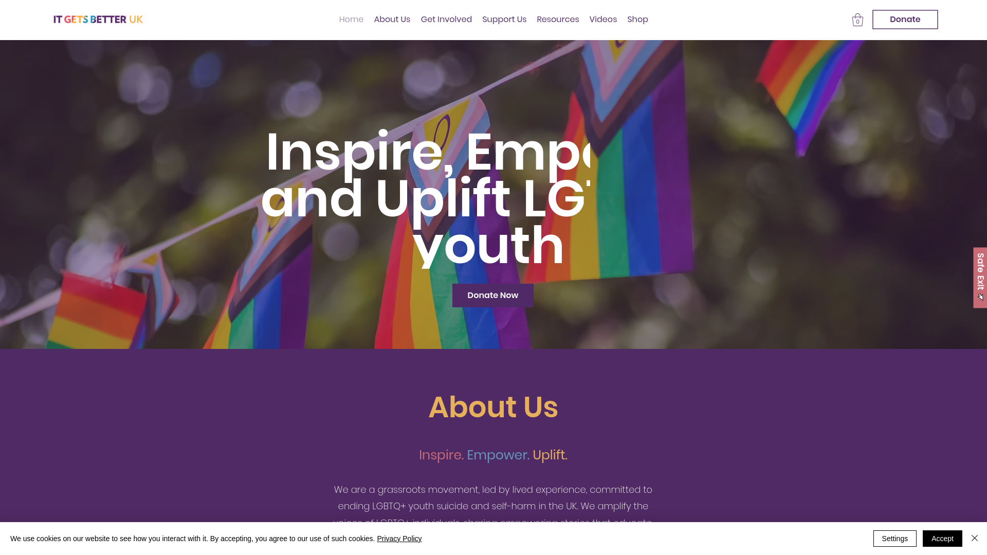 Website screenshot