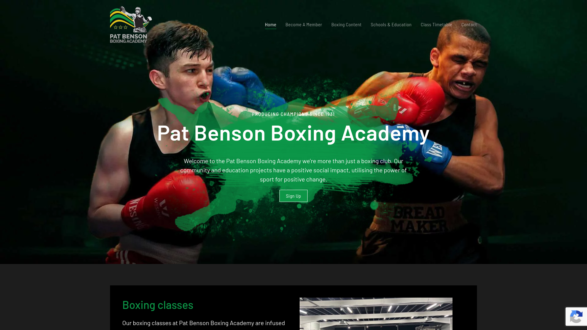 Website screenshot