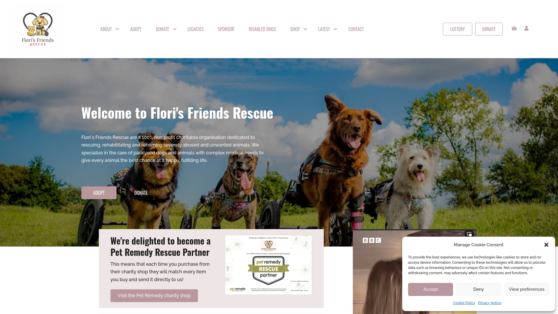 Website screenshot