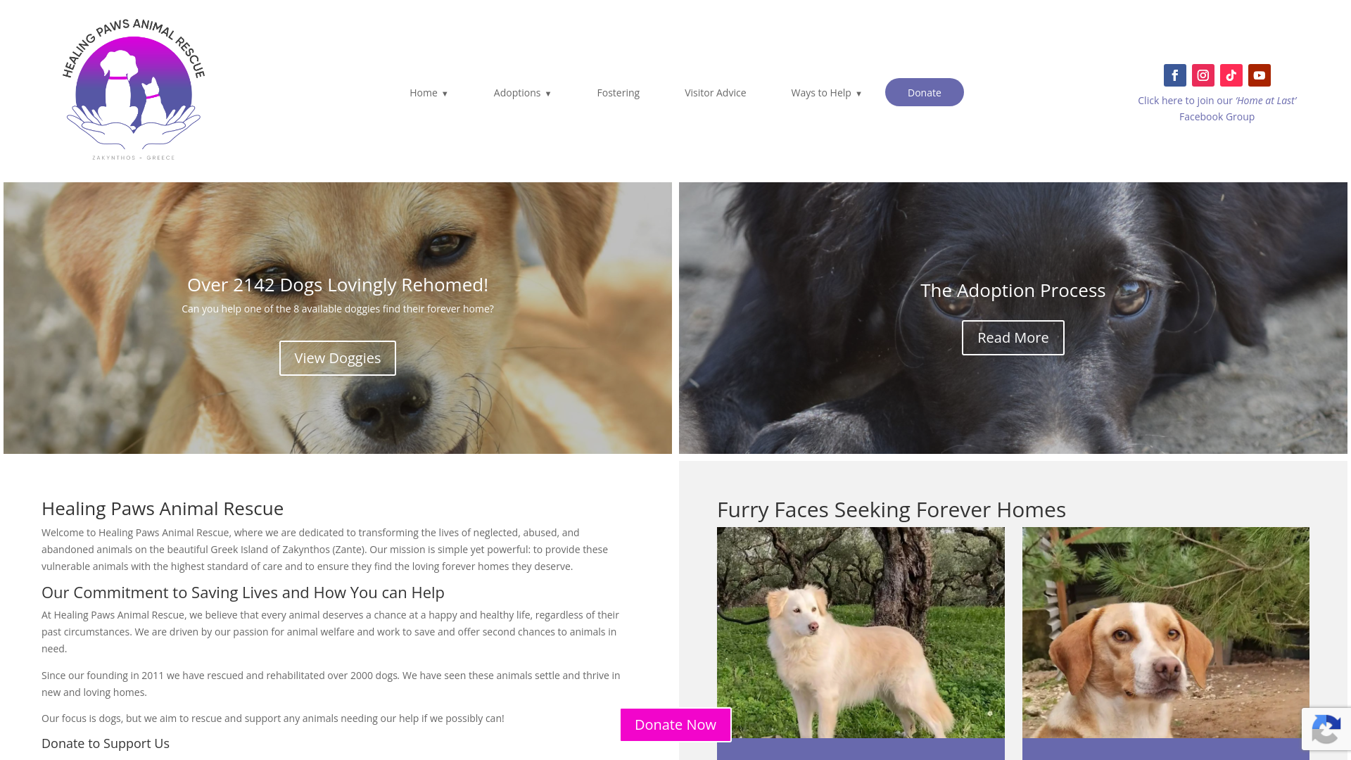 Website screenshot