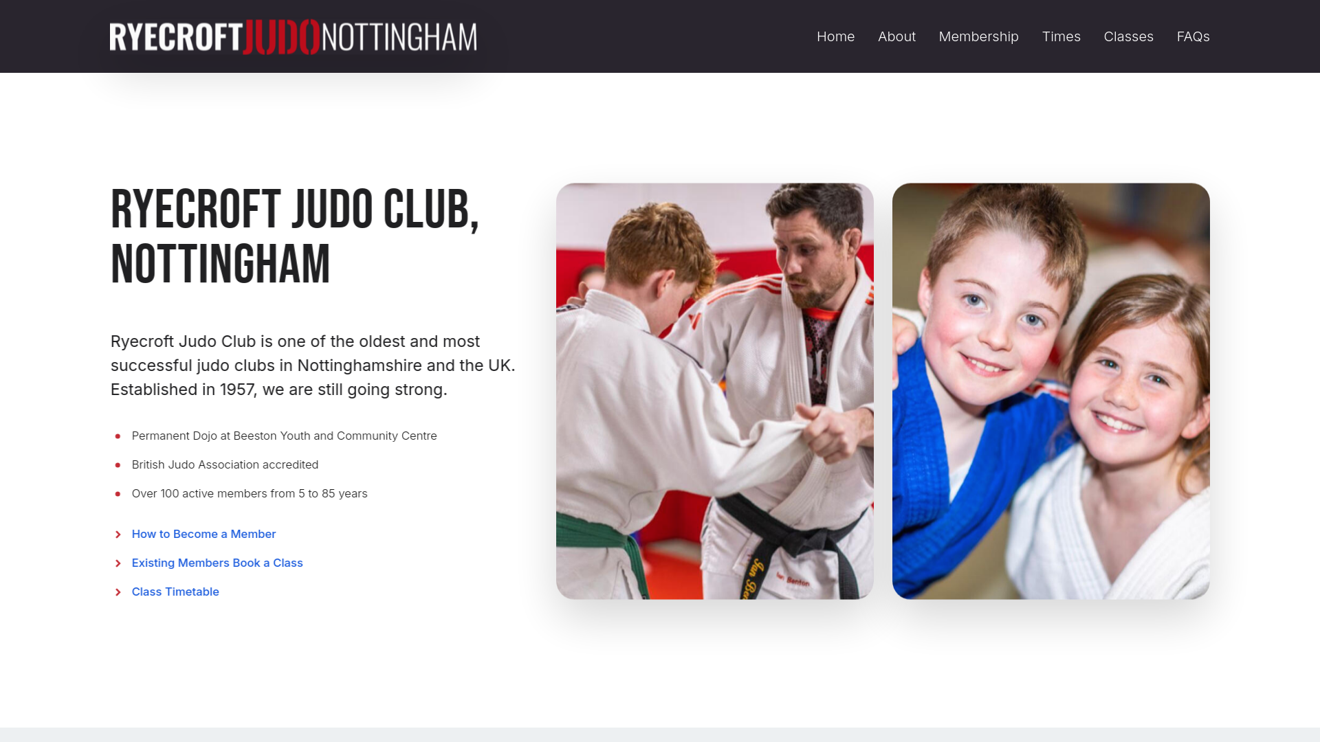 Website screenshot